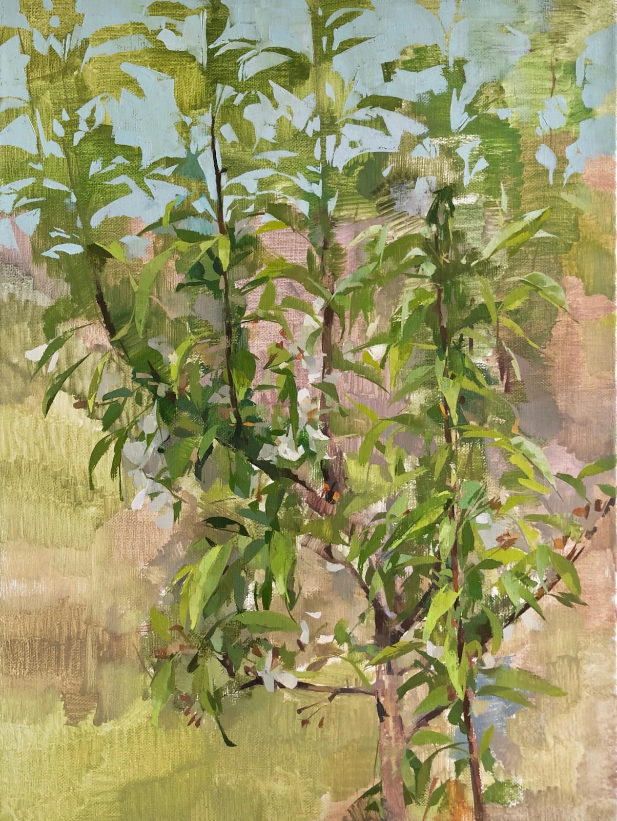 Christina Weaver, Afternoon Crabapple, 2021
