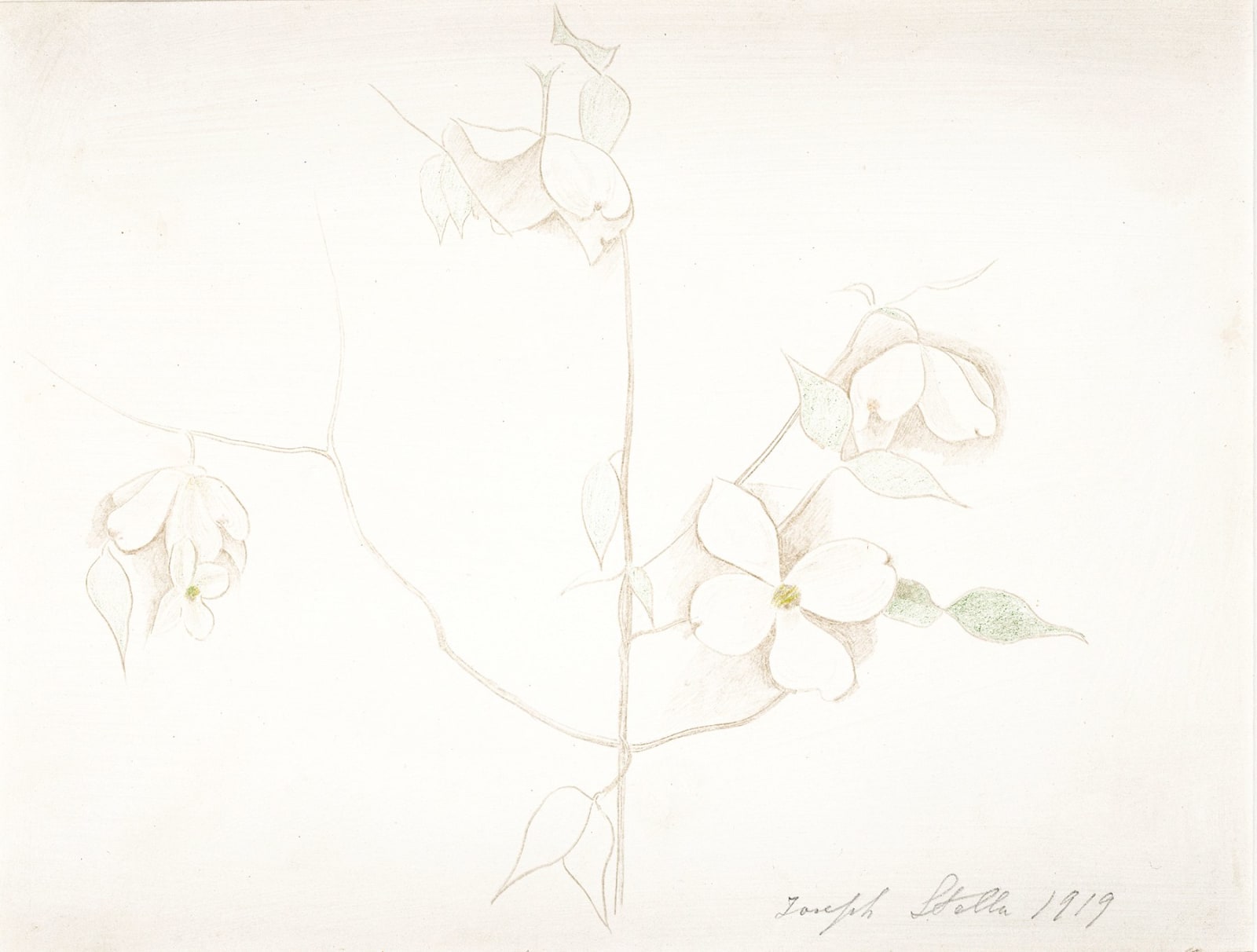 Joseph Stella, Dogwood, 1919
