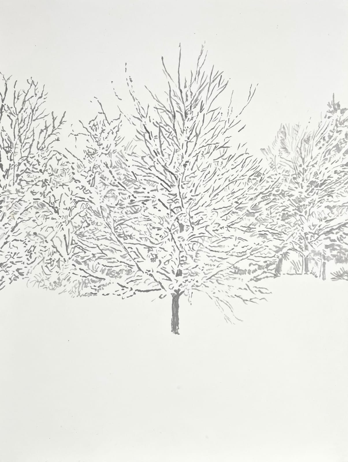 Emily Brown, Chill, 2025