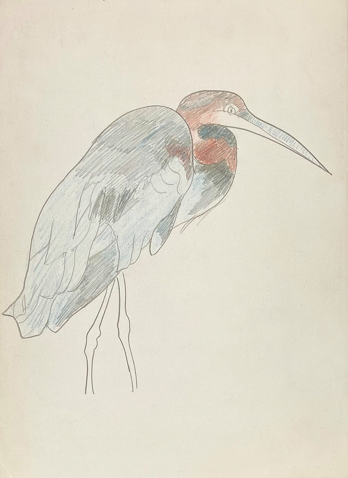 Joseph Stella, Little Blue Heron