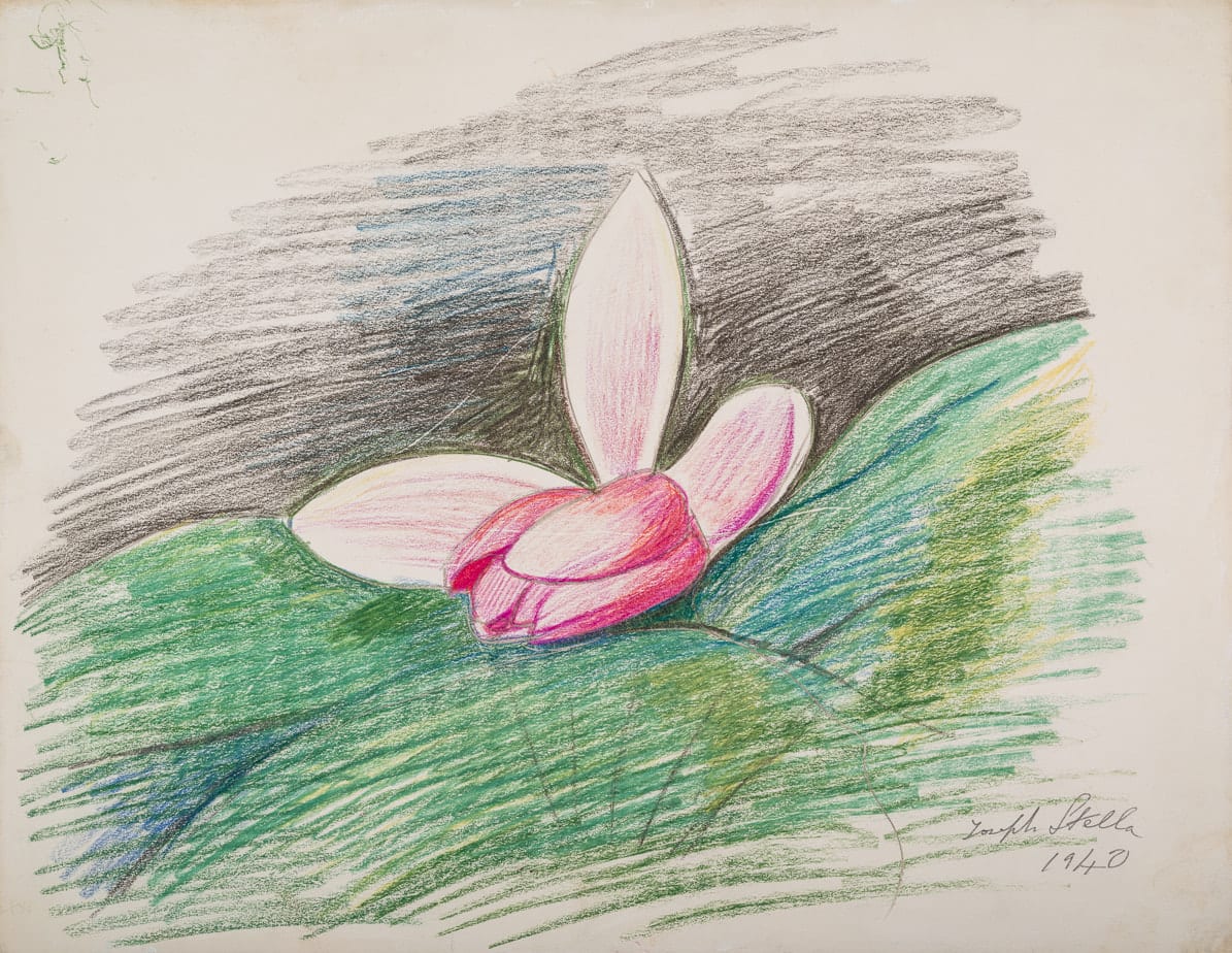Joseph Stella, Pink Waterlily with Green and Black Background, 1940