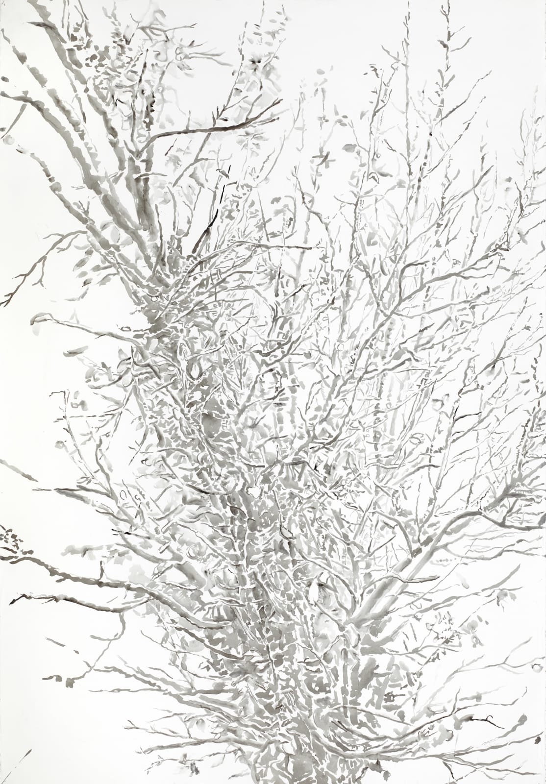 Emily Brown, Early Spring, 2015