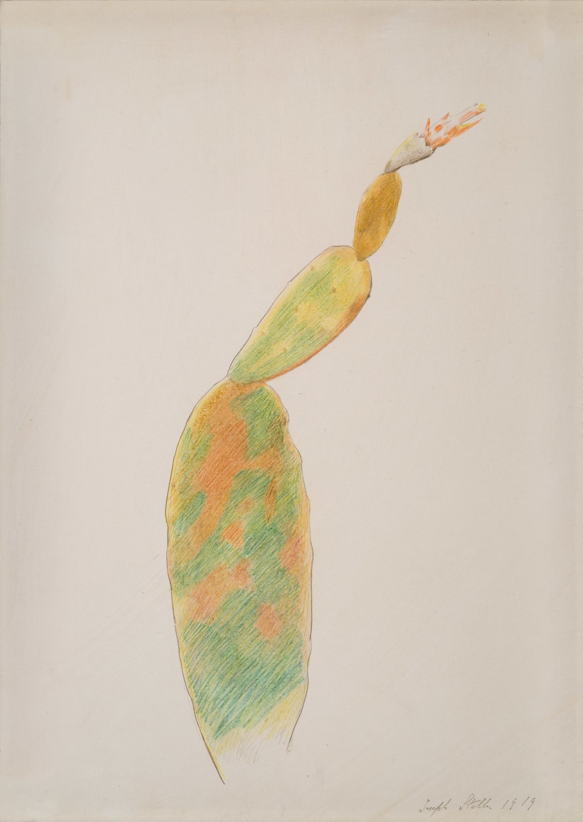 Joseph Stella, Cactus, 1919