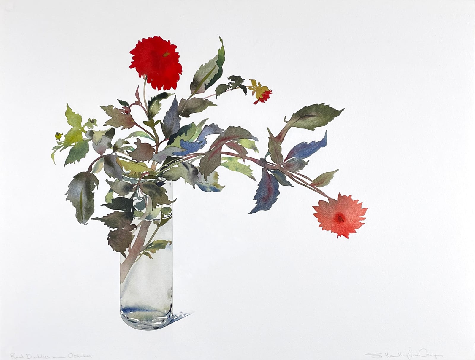 Susan Headley Van Campen, Red Dahlias, October