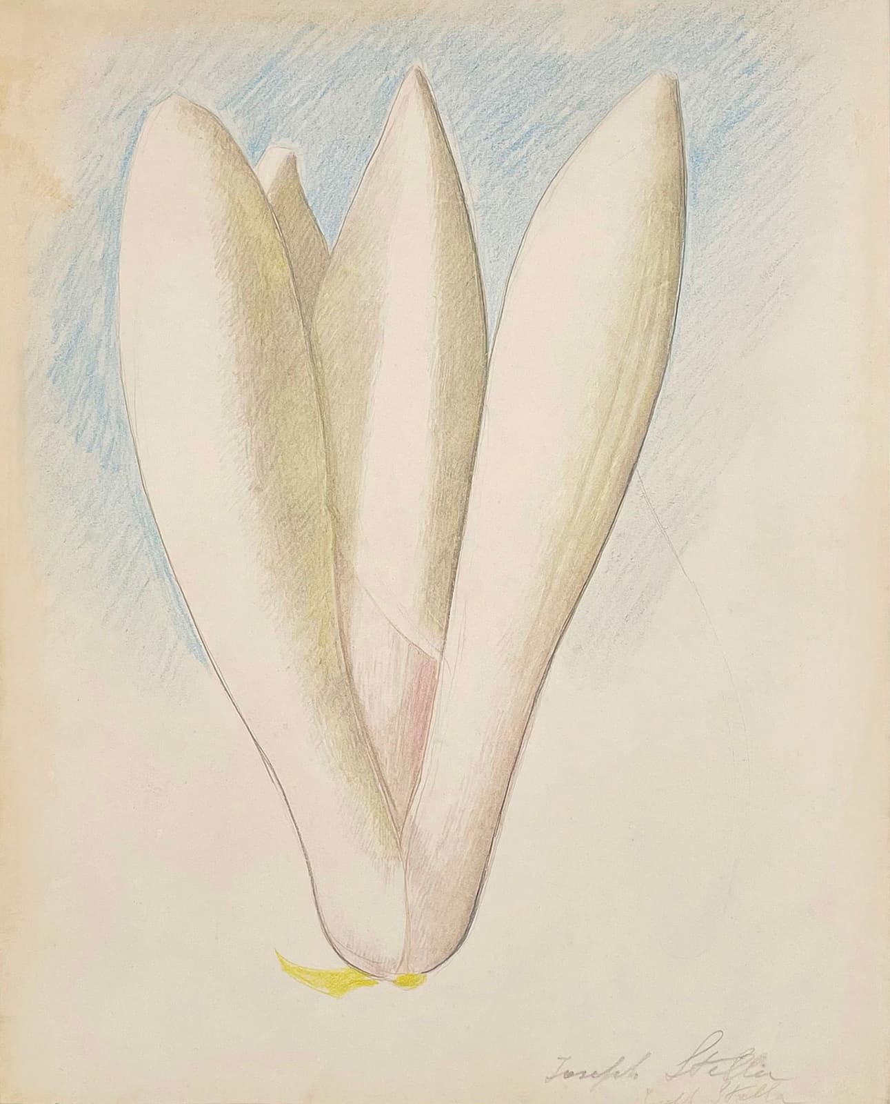Joseph Stella, White Lotus Bud