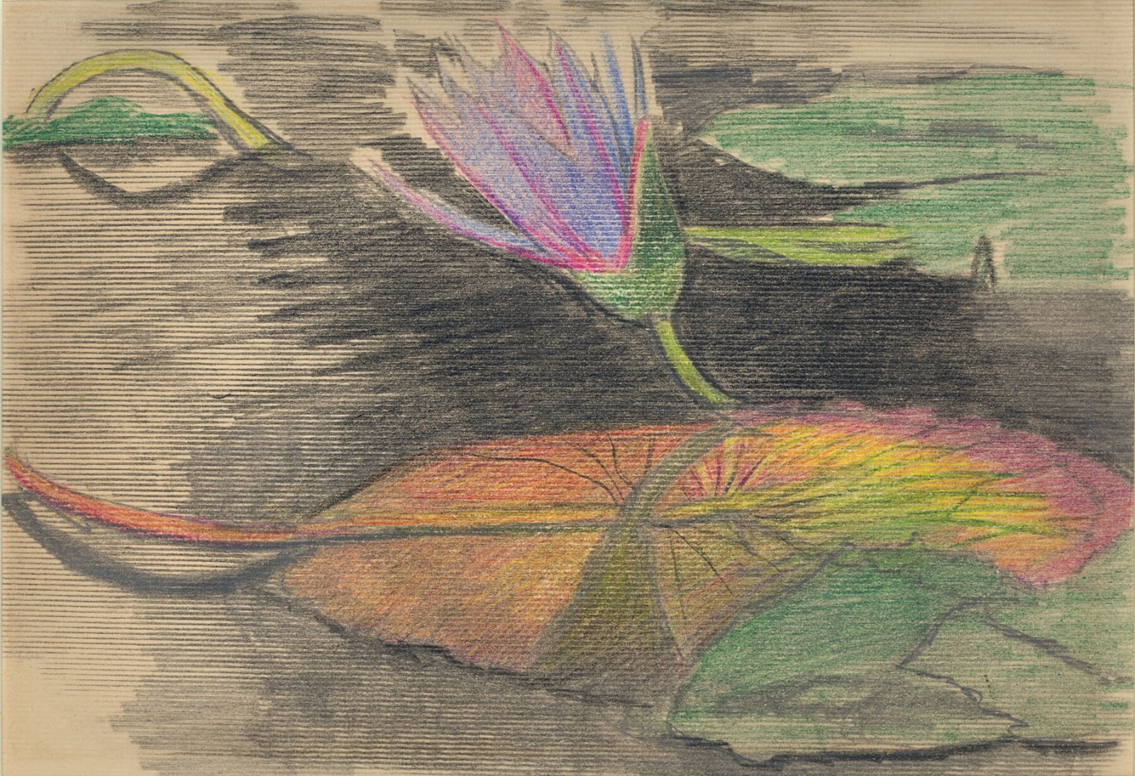 Joseph Stella, Blue Waterlily, c. 1930