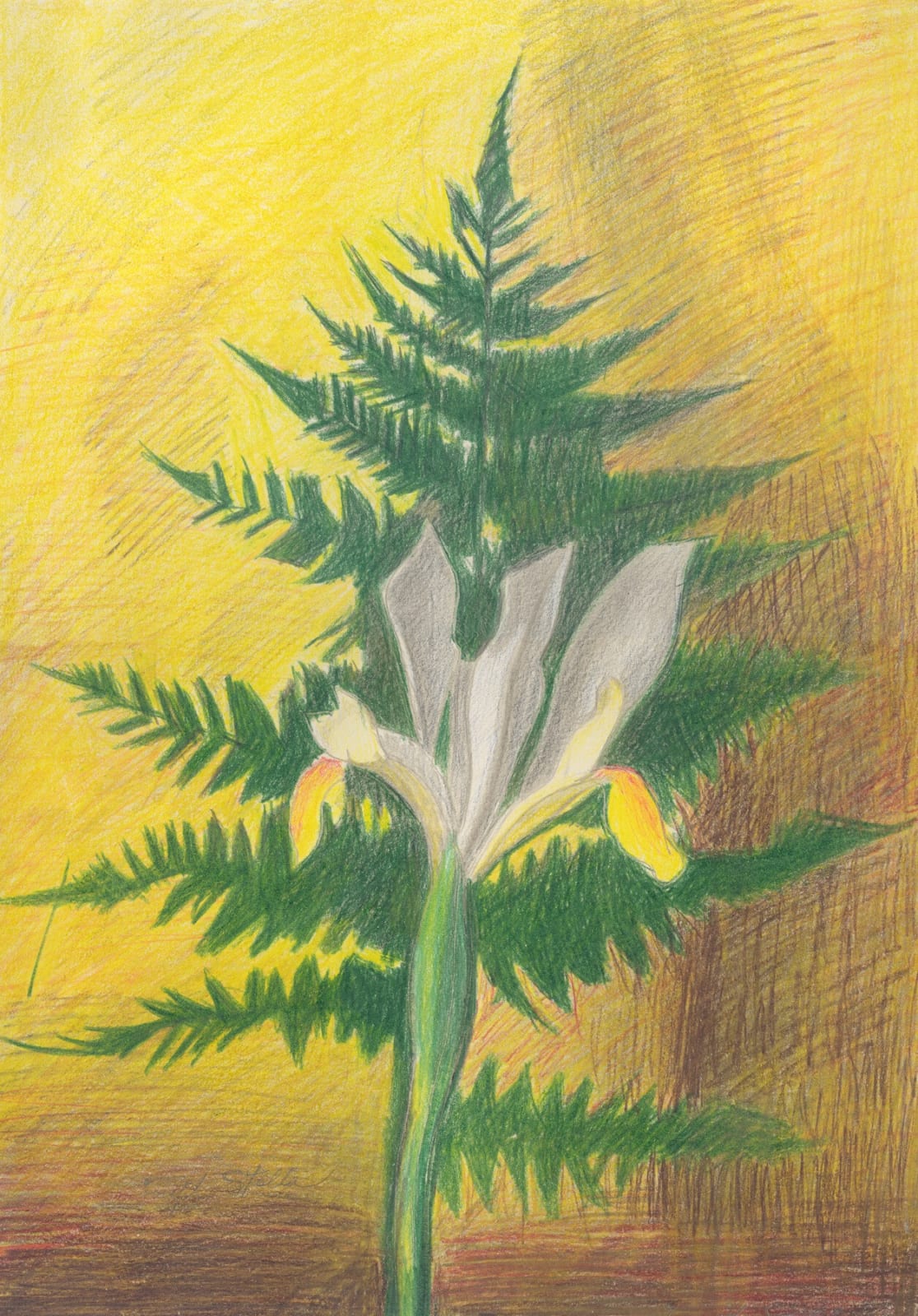 Joseph Stella, White Iris with Fern, c. 1925