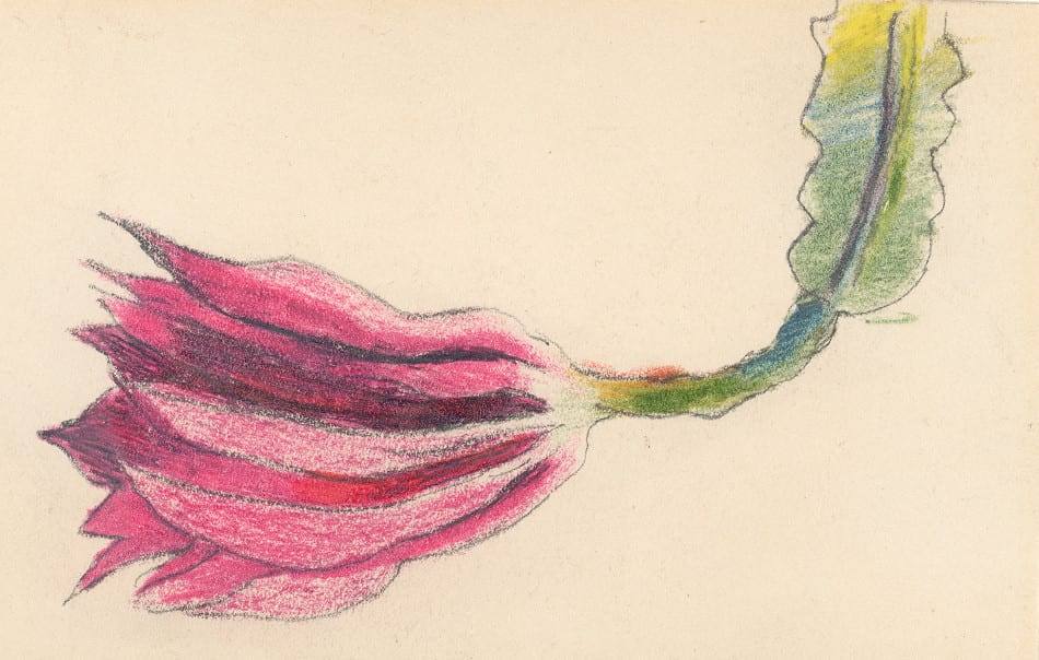 Joseph Stella, Cactus Flower