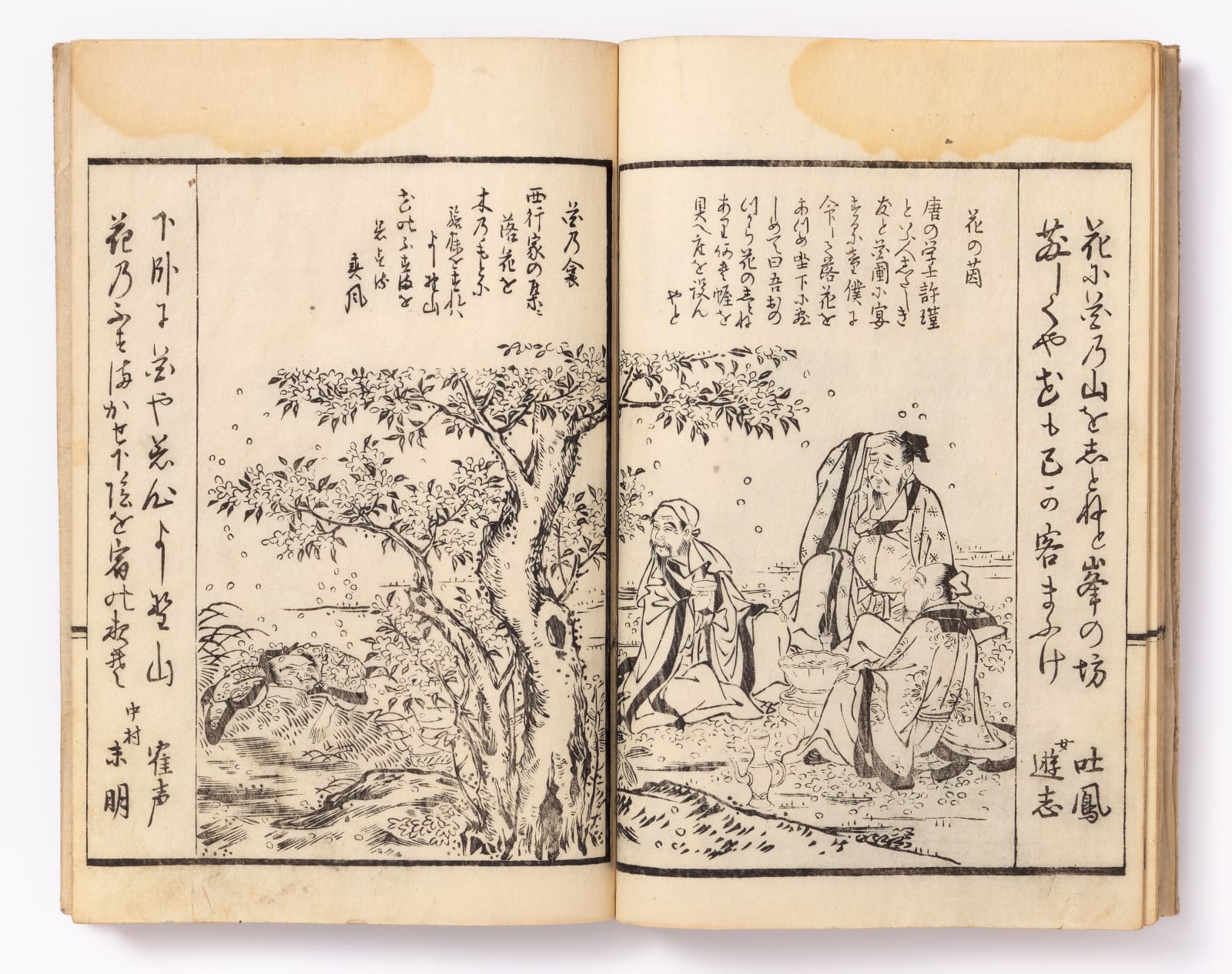 Attributed to Kubo Shunman (1757-1820), Picture Book of Flowers of Pleasure (Tanoshimi Gusa), 1796