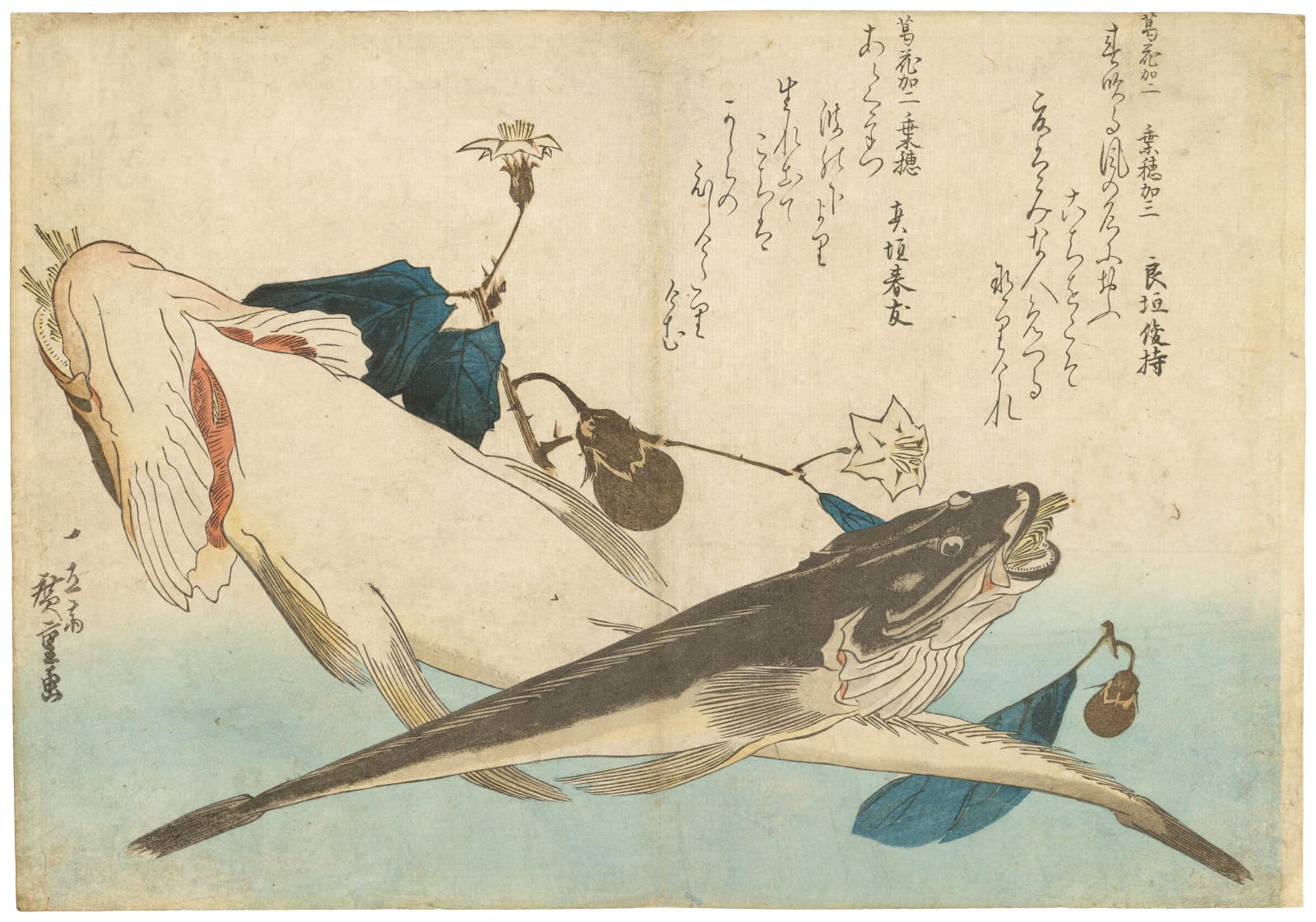 Utagawa Hiroshige (1797-1858), Bartail Flatheads and Miniature Aubergines (Kochi, Nasu), from the untitled series of Large Fish, circa 1832-33
