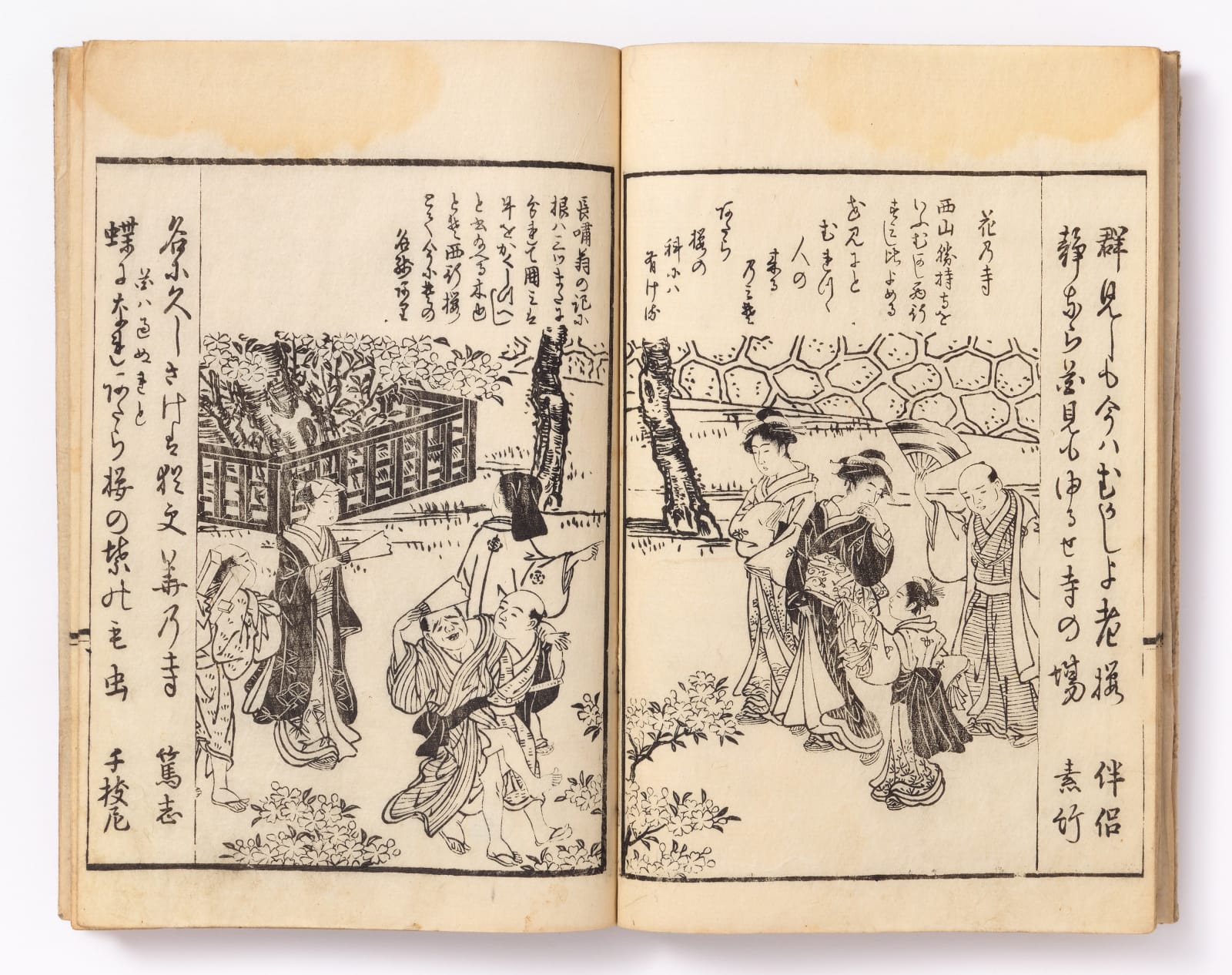 Attributed to Kubo Shunman (1757-1820), Picture Book of Flowers of Pleasure (Tanoshimi Gusa), 1796