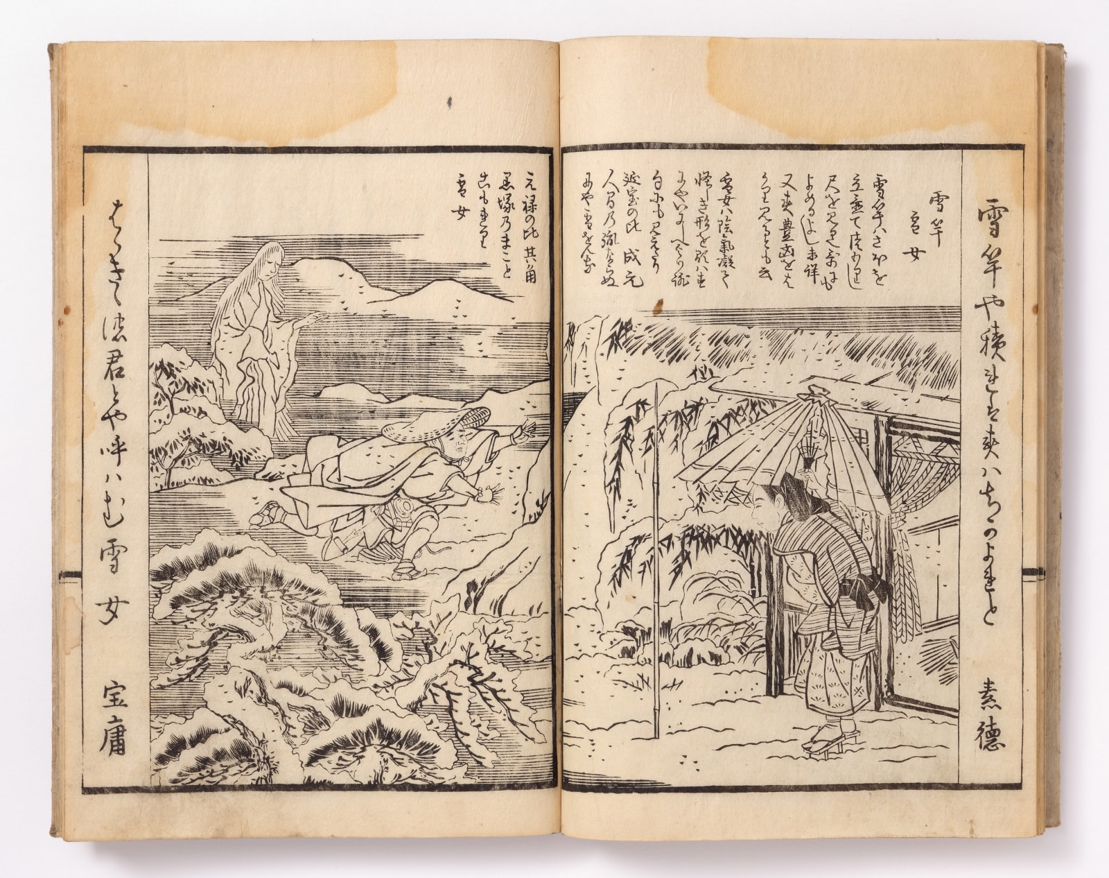 Attributed to Kubo Shunman (1757-1820), Picture Book of Flowers of Pleasure (Tanoshimi Gusa), 1796