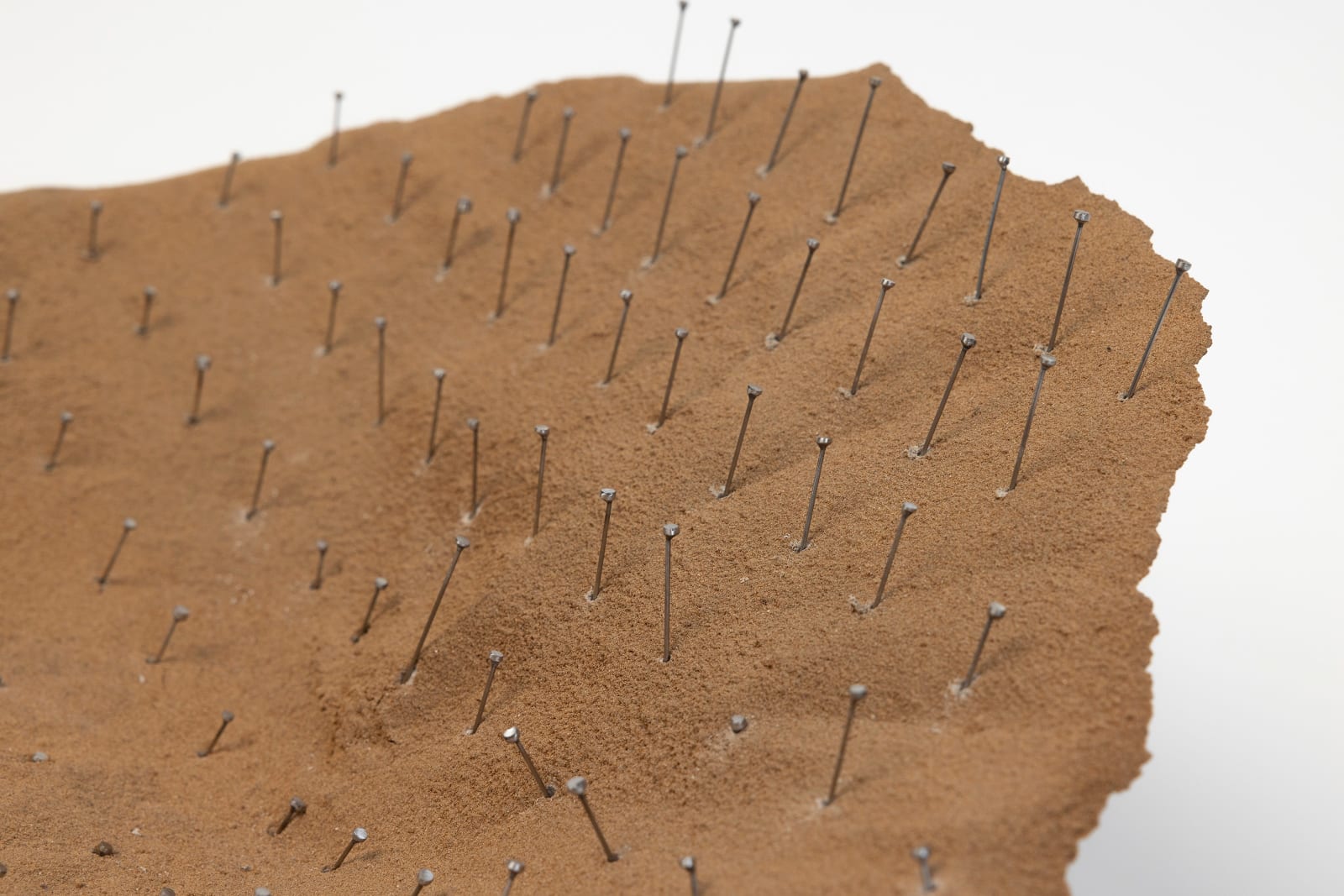 Talin Hazbar, Surrender II / II استسلام, 2025