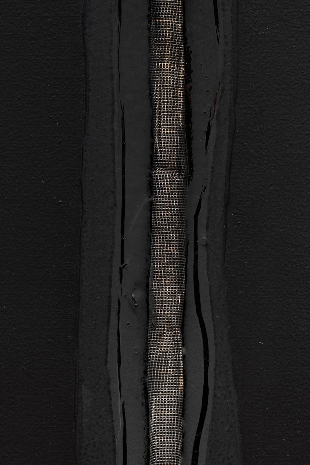 Enric Ansesa, Sutura metàlica, 2015