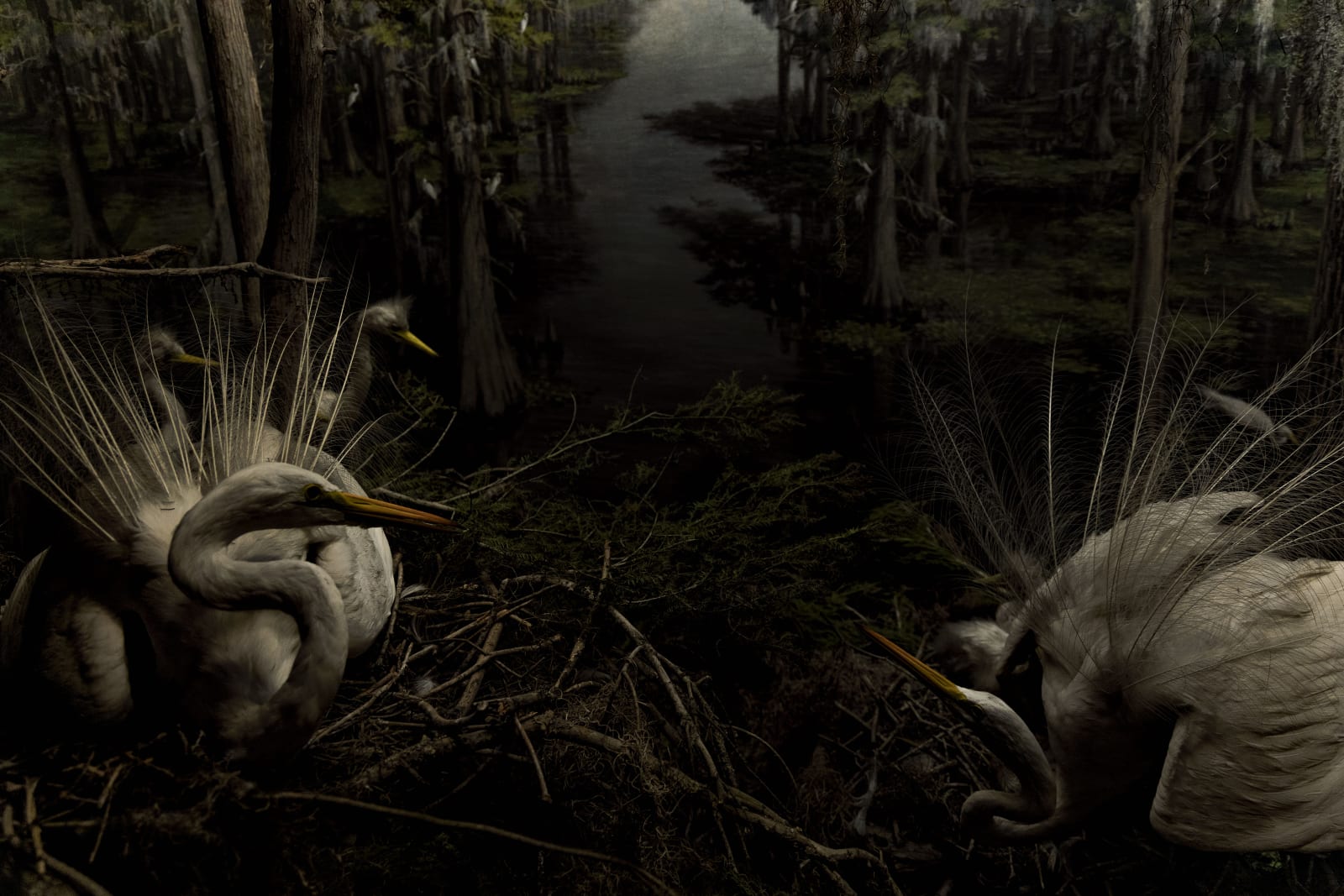 Lucas Lenci, Diorama 6, 2015 - 2019