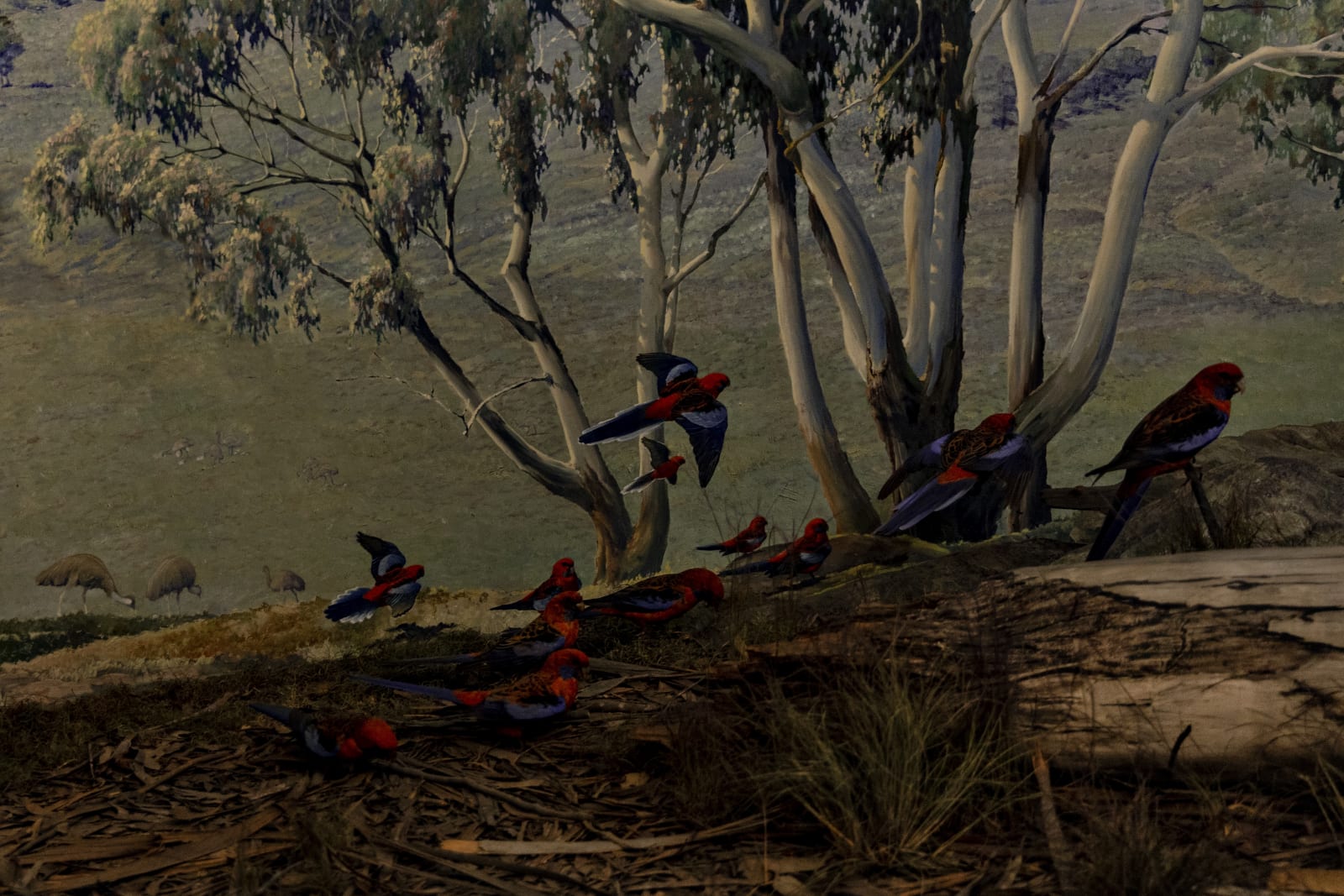 Lucas Lenci, Diorama 2, 2015 - 2019