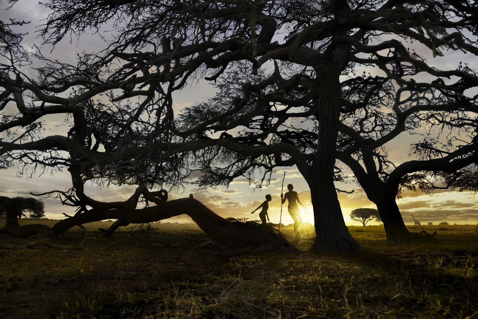 Steve McCurry, Silhouette of Men During Sunset (South Africa), 2013