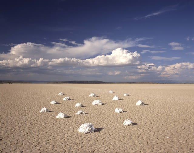 Alfredo de Stefano, Nubes de Algodón, 2004