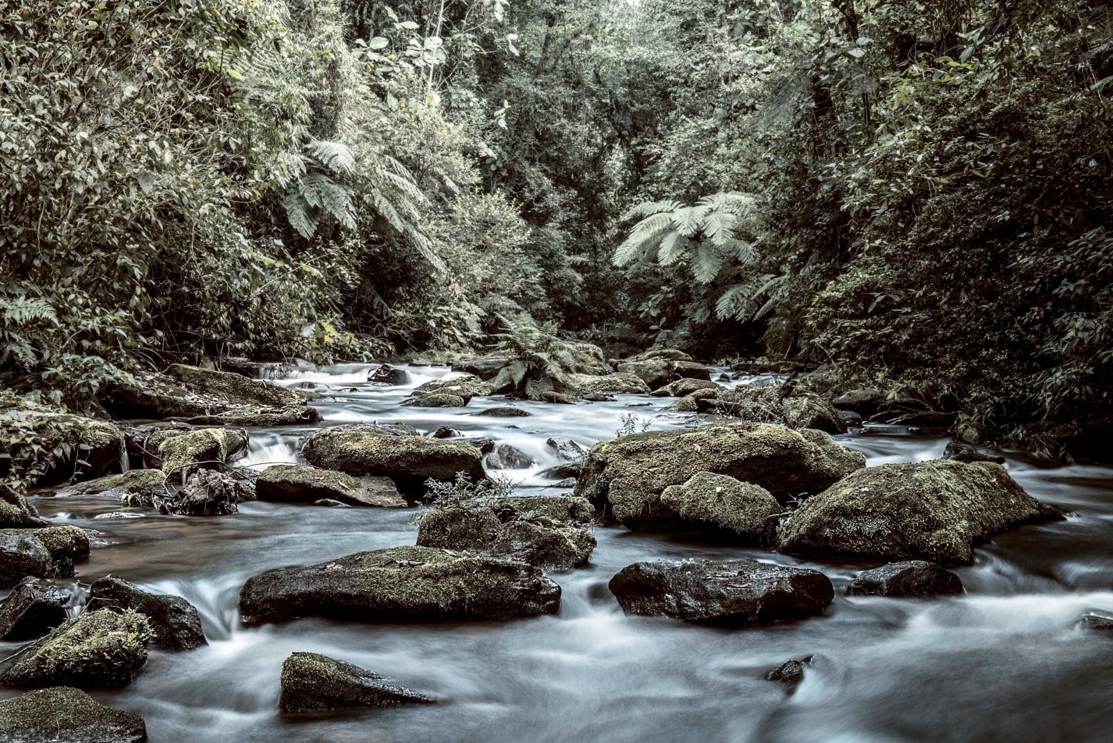 Luciano Candisani, Cachoeira 6