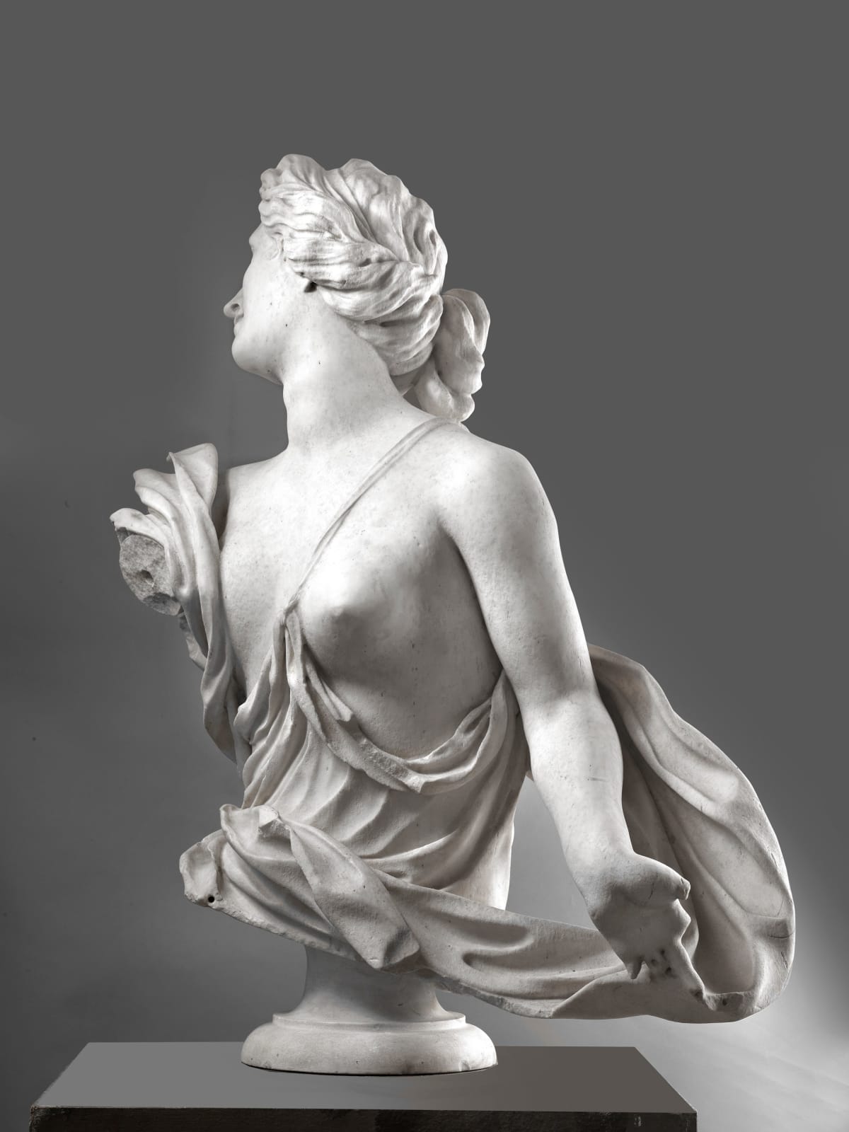 Honorè Pellè (Gap 1641 - Genova 1718), Venus Bust, 1700 - 1710 ca.