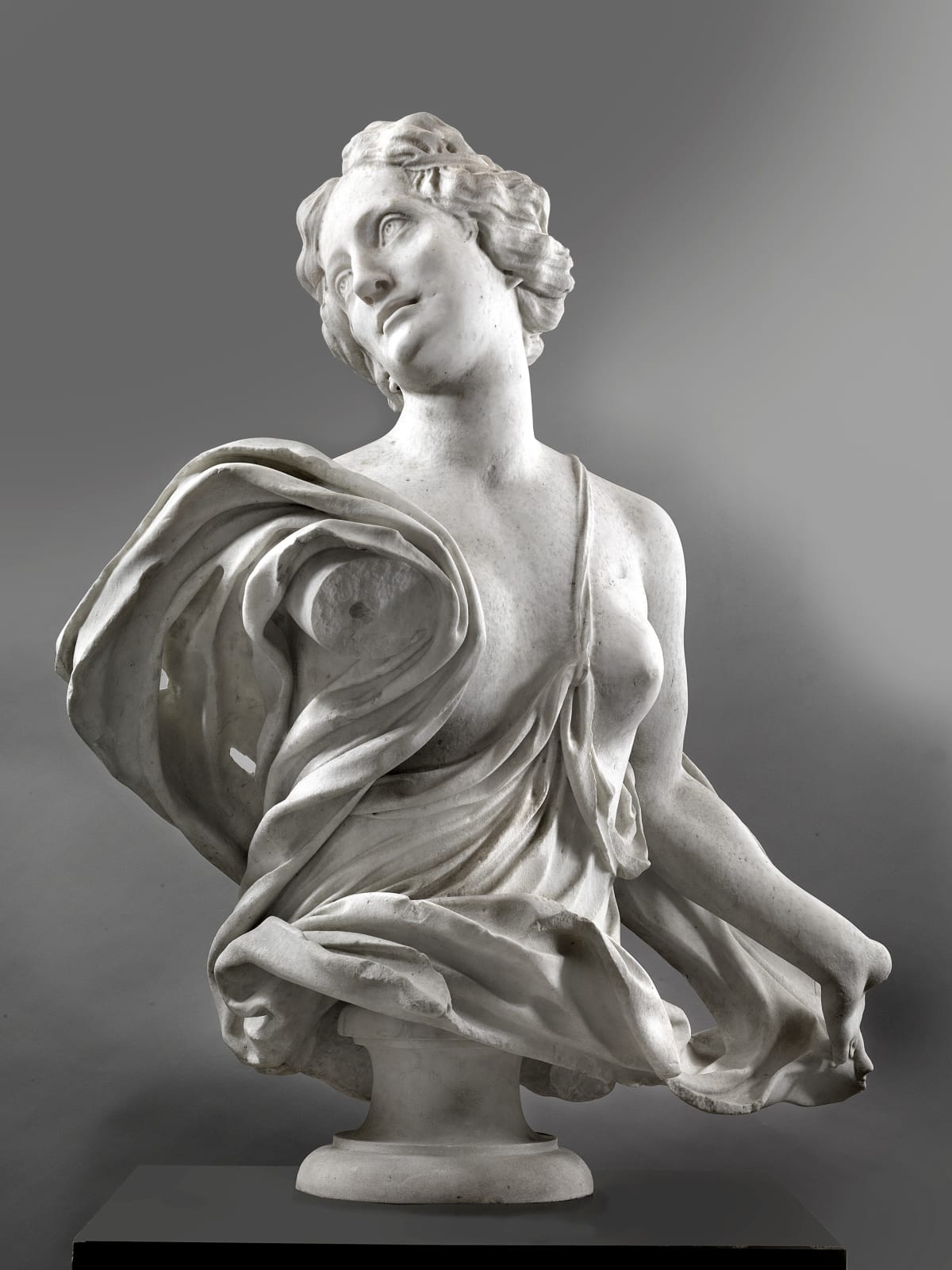 Honorè Pellè (Gap 1641 - Genova 1718), Venus Bust, 1700 - 1710 ca.