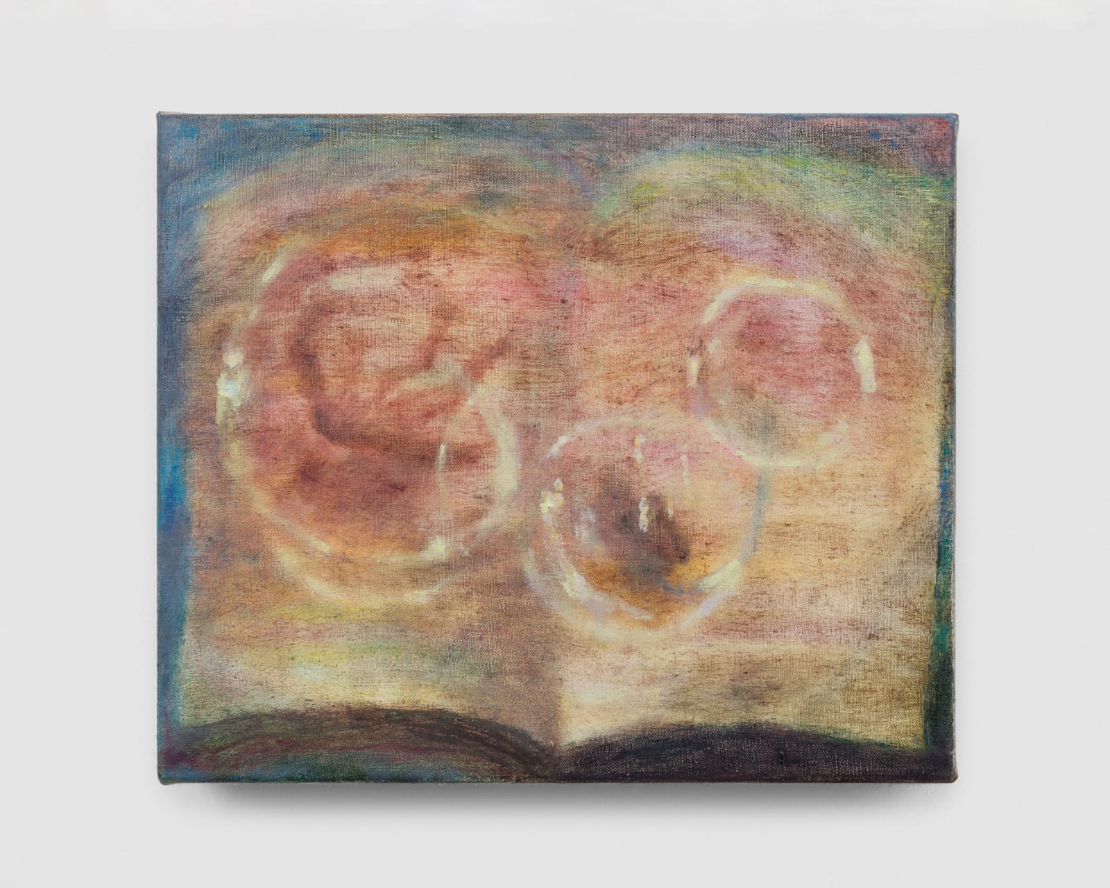 Sophie Birch, Amphibian, 2024