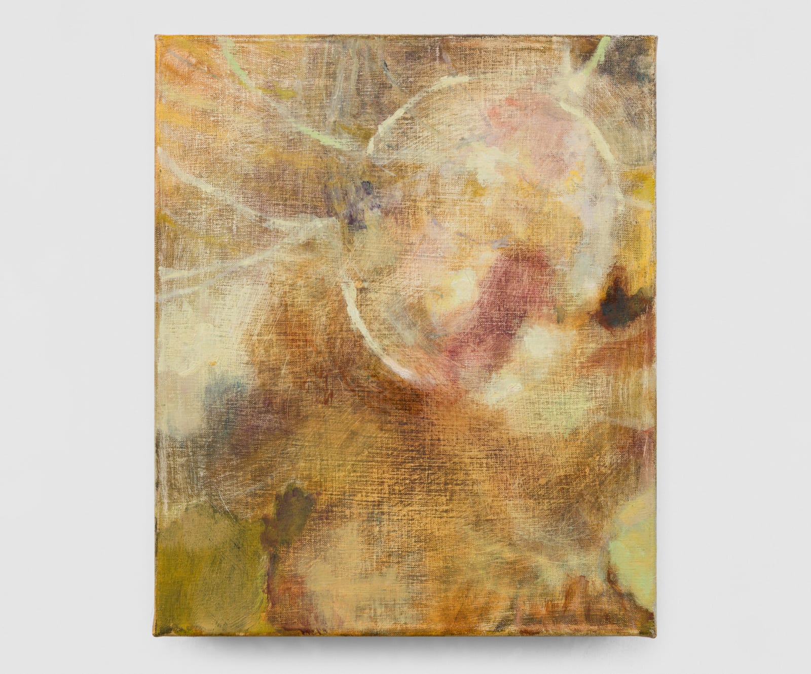 Sophie Birch, Osmosis, 2024