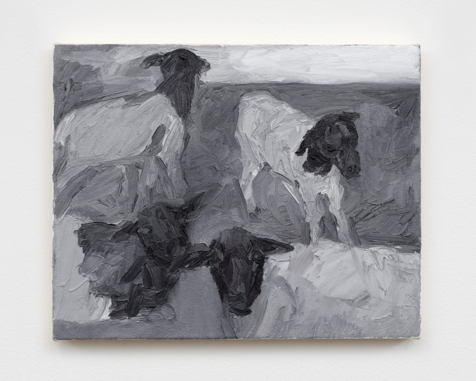 Bryan Ali Sanchez, El Amanecer, 2025