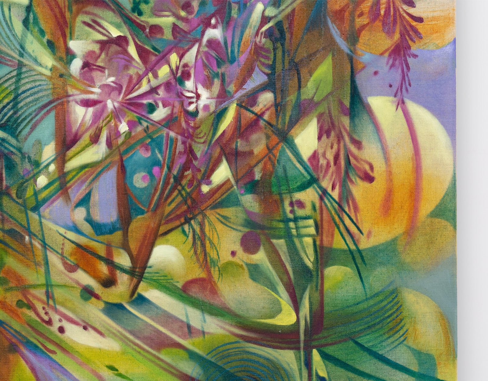 Ji Won Cha, Dreams of Wisteria, 2025