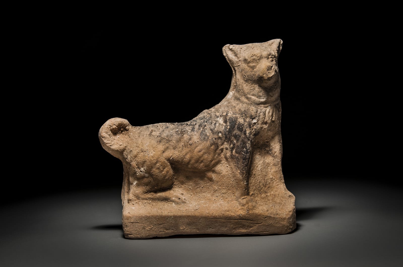 A Roman Figurine of a Dog, Middle Roman, 200 C.E. - 300 C.E.