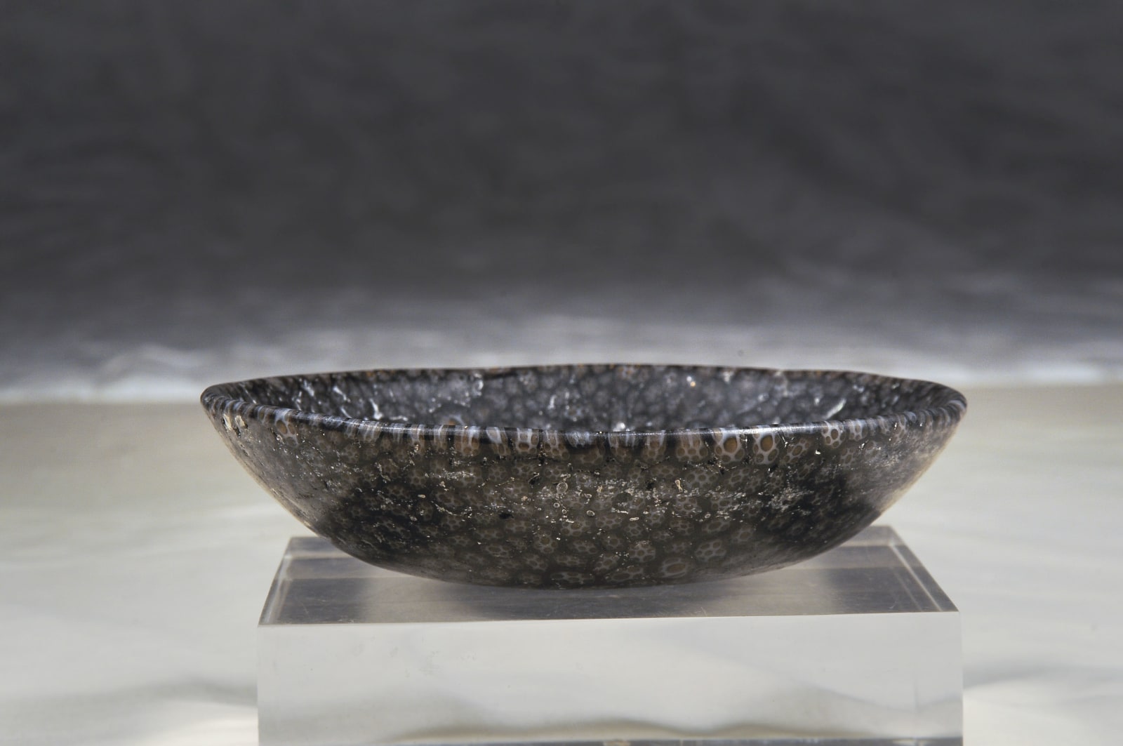 An Islamic Mosaic Glass Dish, Islamic Period 9th - 10th Century C.E.