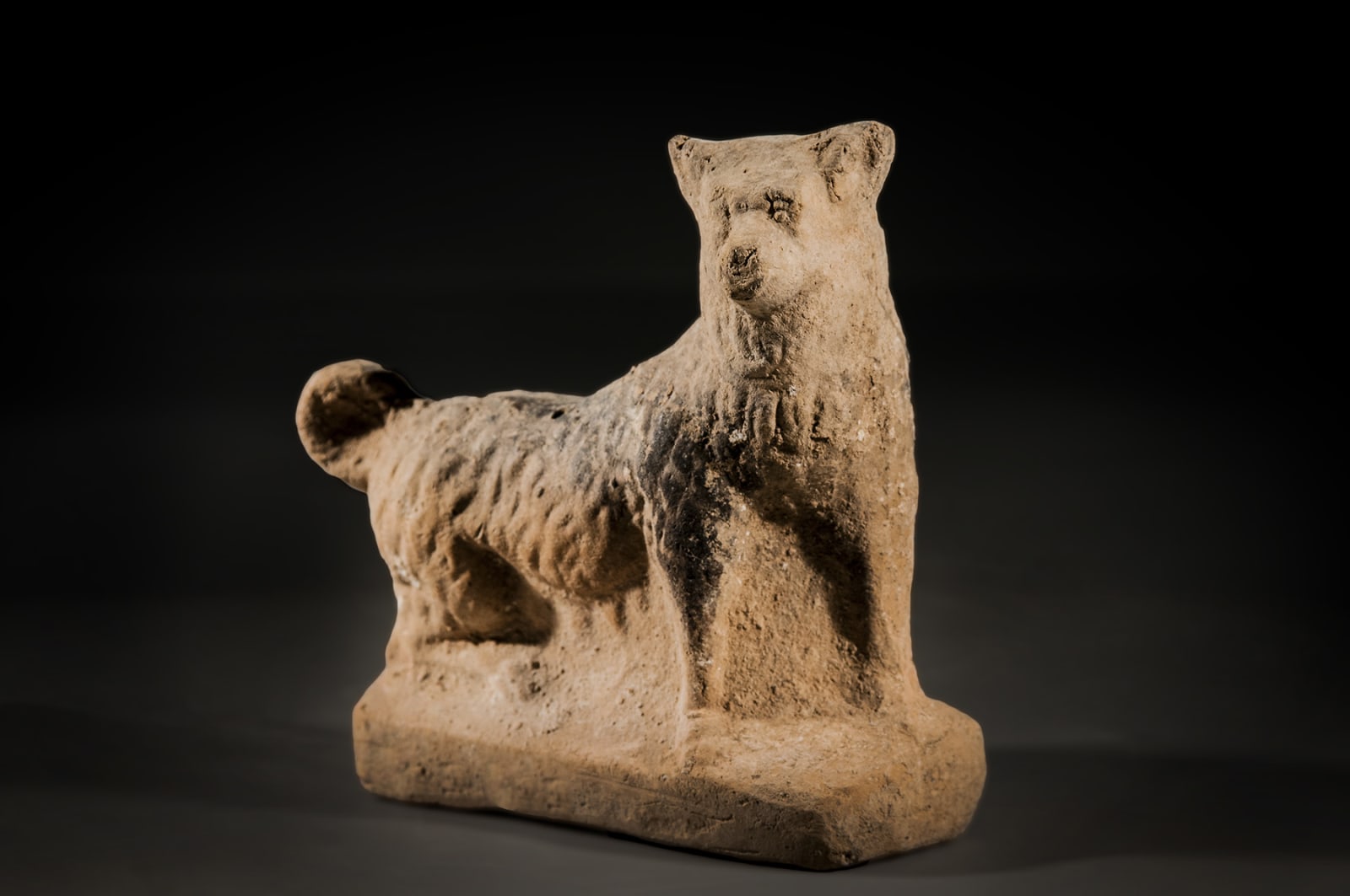 A Roman Figurine of a Dog, Middle Roman, 200 C.E. - 300 C.E.