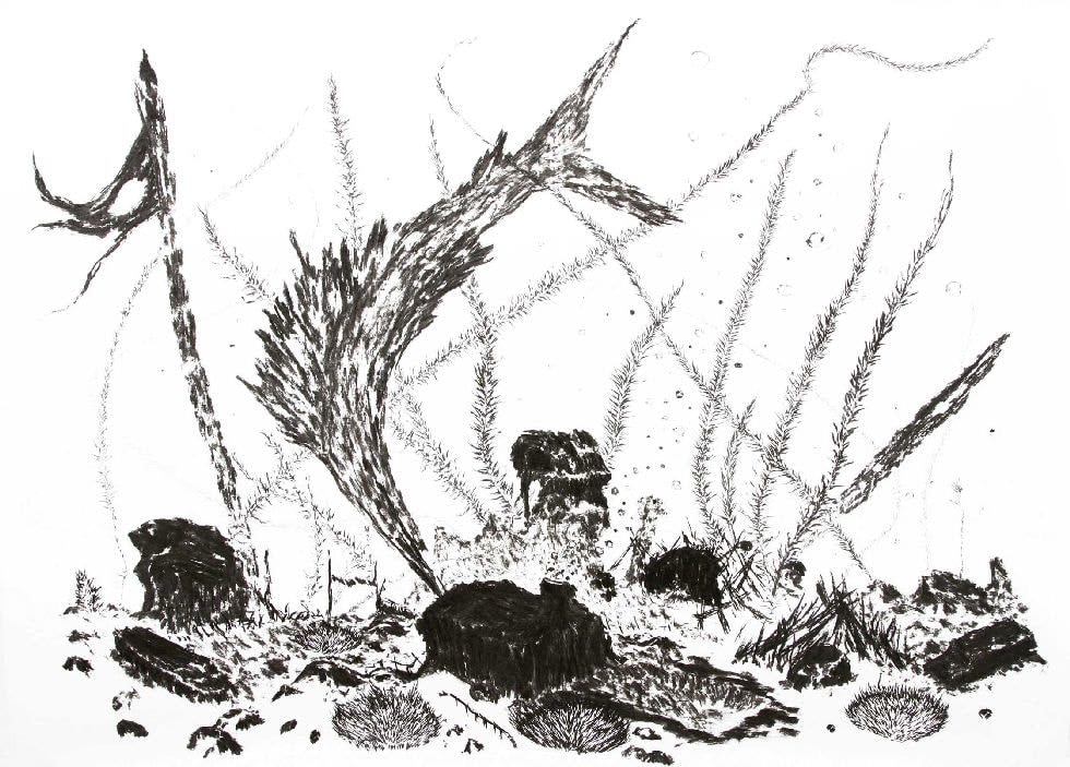 Matías Duville, Fondo Submarino, 2009