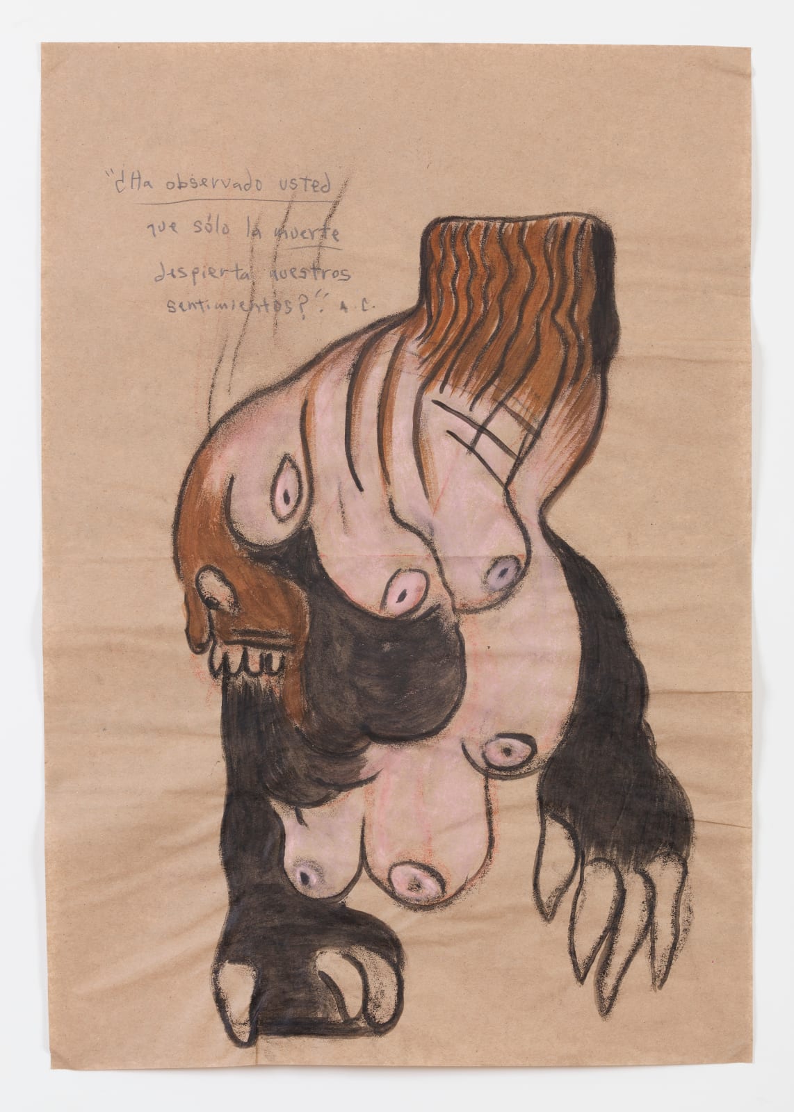 Daniel Guzmán, Sin título. De la serie: "Chromosome Damage", 2013
