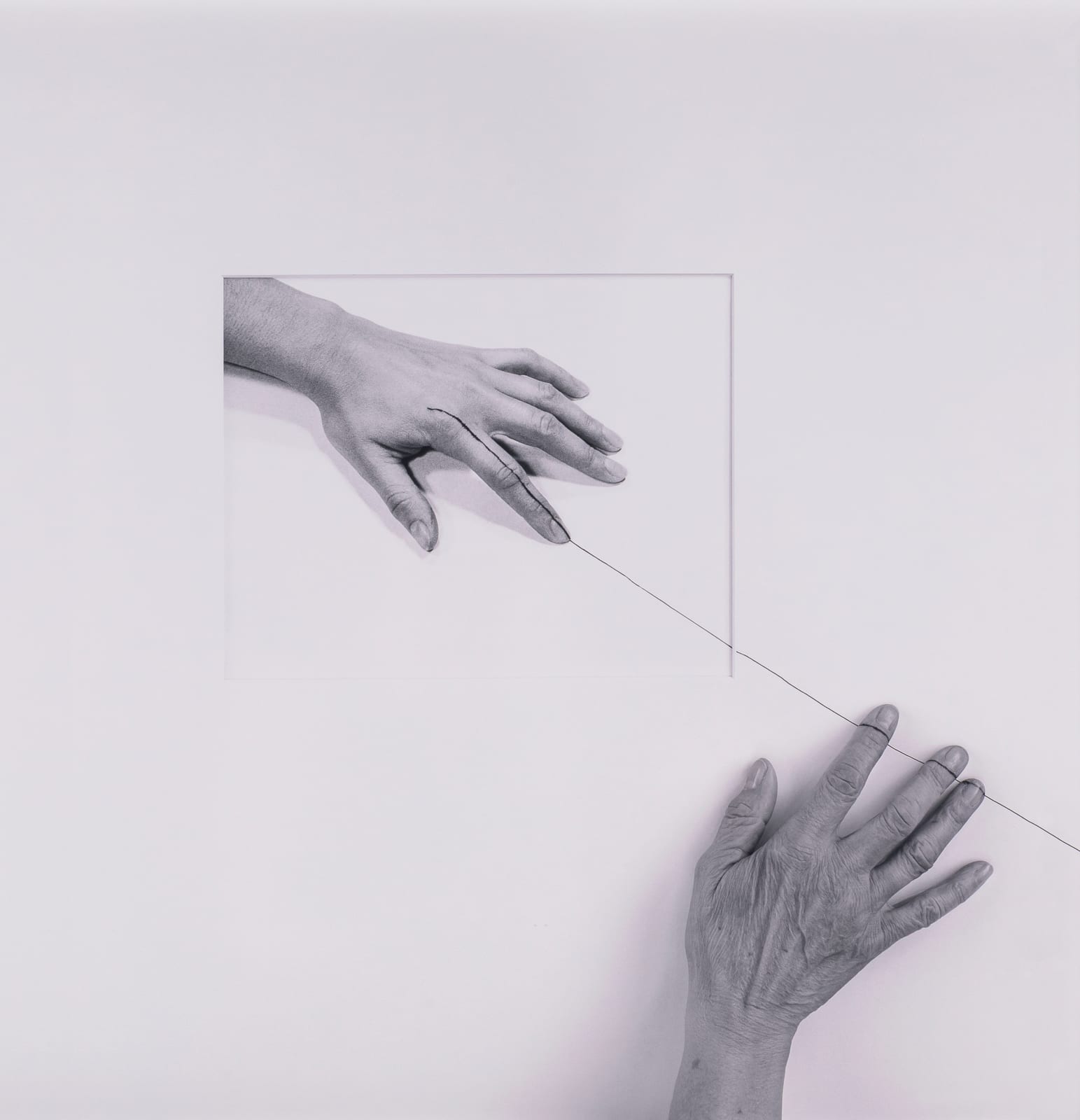 Liliana Porter, Forty Years IIB (hand, over line II), 2013