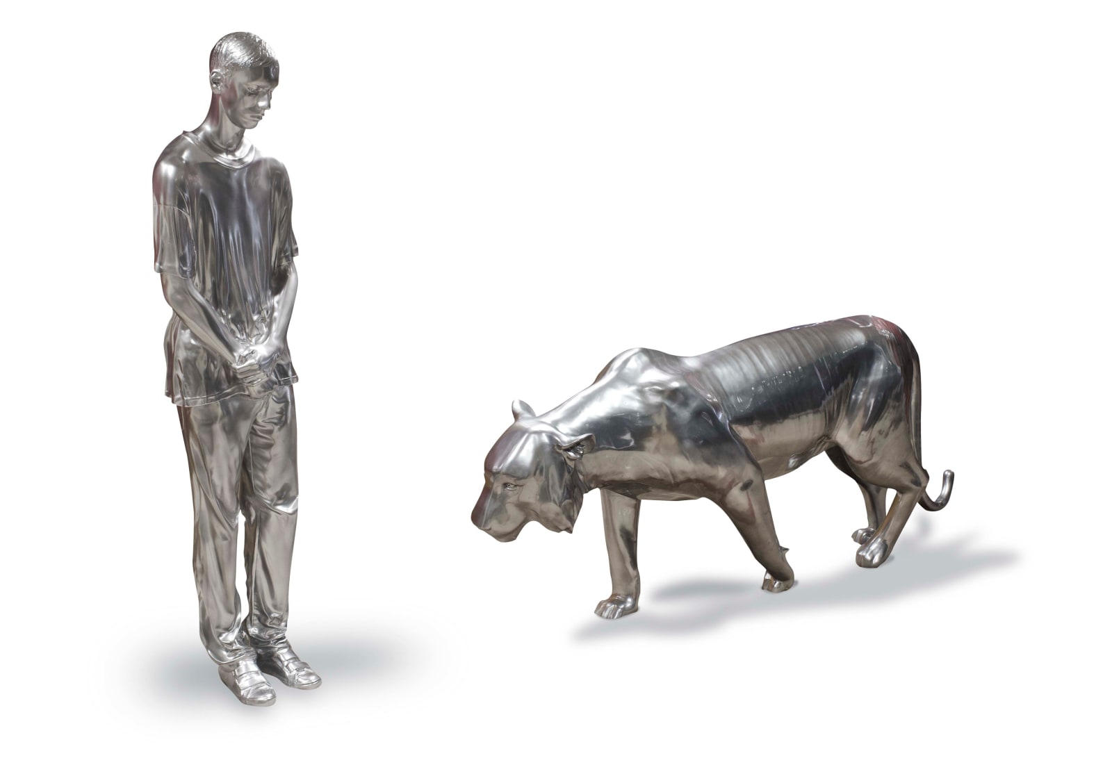 Ananké Asseff, Despertando al Tigre - Serie Corrimientos, 2011