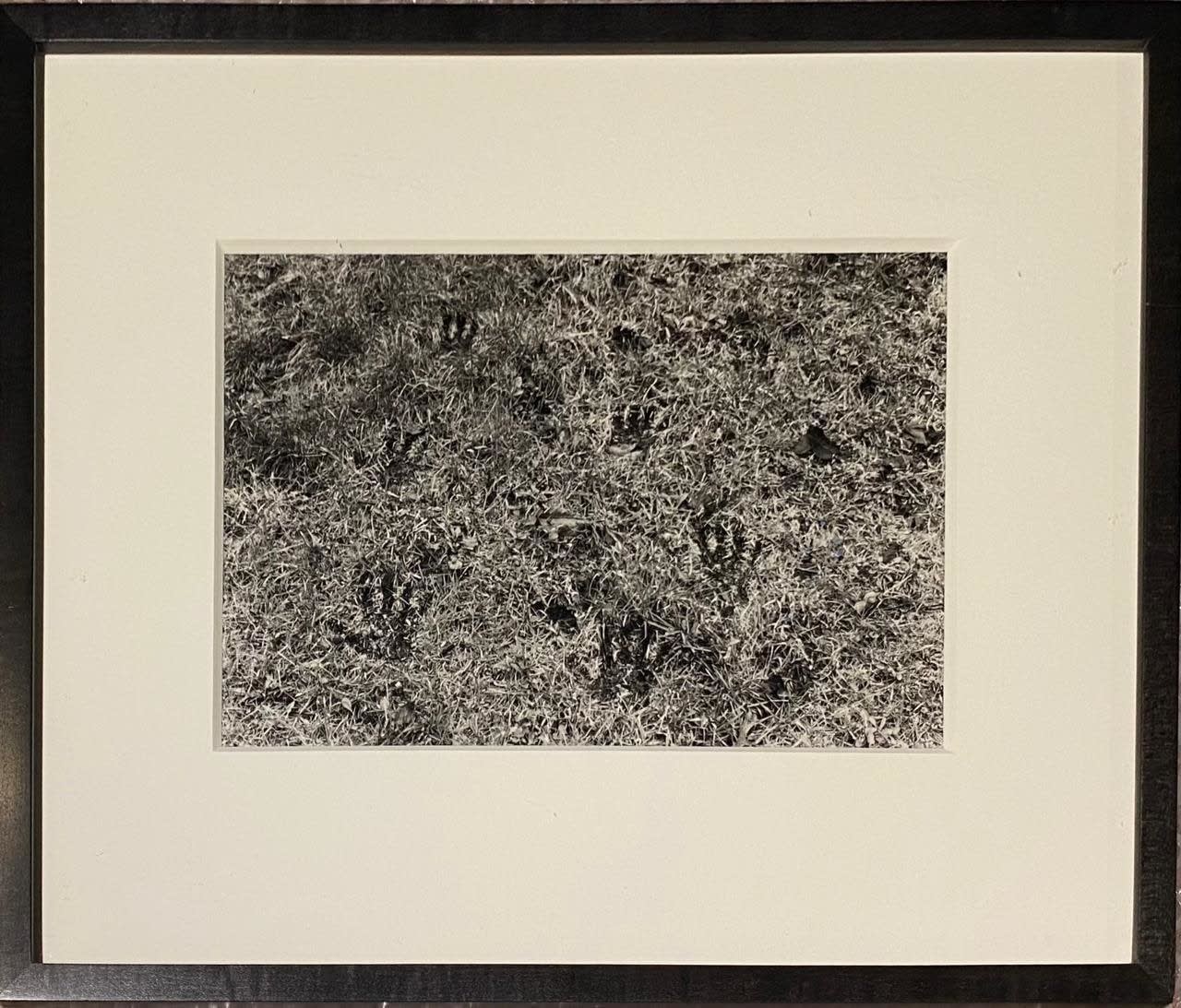 Ana Mendieta, Untitled (Silueta Series), 1977-1978