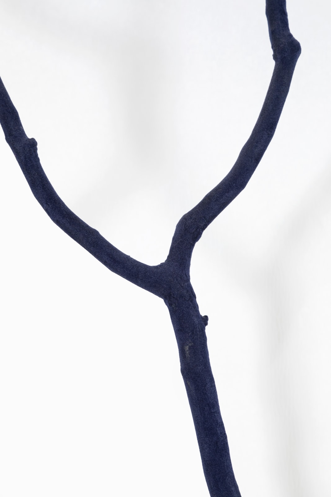 Magdalena Atria, Rabdomante III, 2012