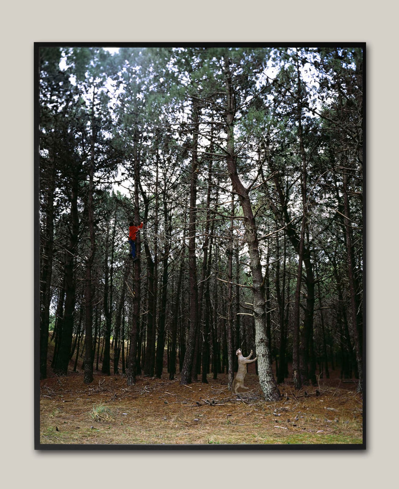 Ananké Asseff, Sin título (Corrimientos), 2010