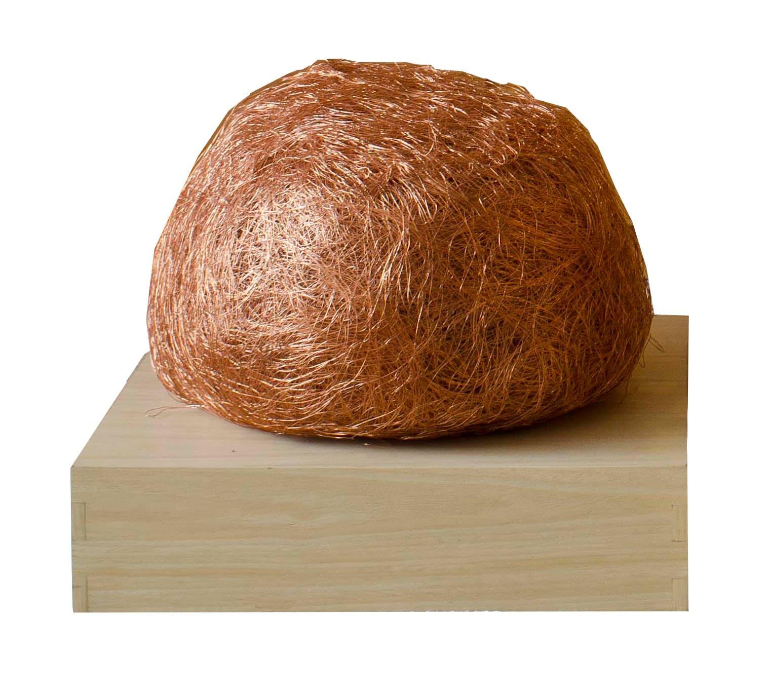 Eduardo Basualdo, La perla, 2009