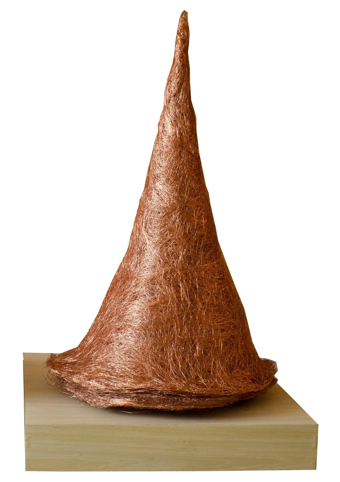 Eduardo Basualdo, La voz, 2009