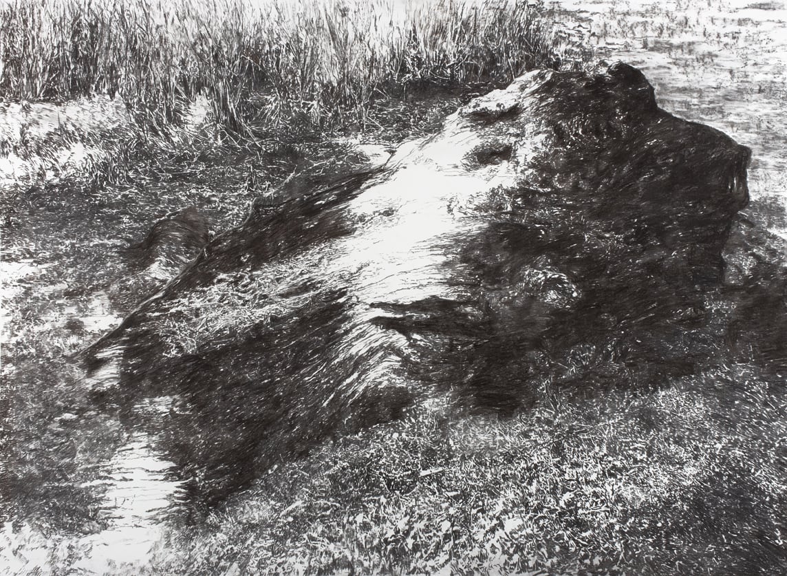 Ana Gallardo, Laguna de Zempoala 1965/2010 (De la serie: Boceto para la construcción de un paisaje), 2015