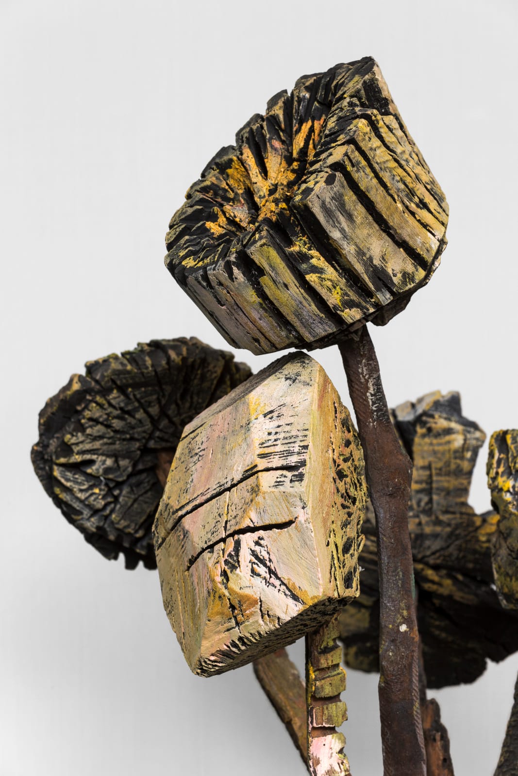 Vicente Grondona, Sin título, 2012