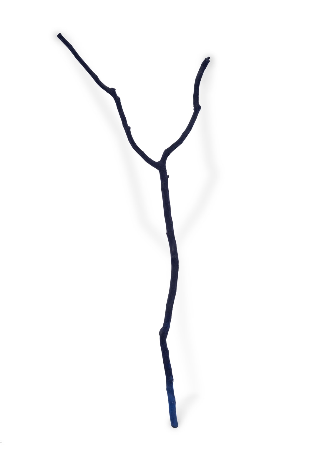 Magdalena Atria, Rabdomante III, 2012