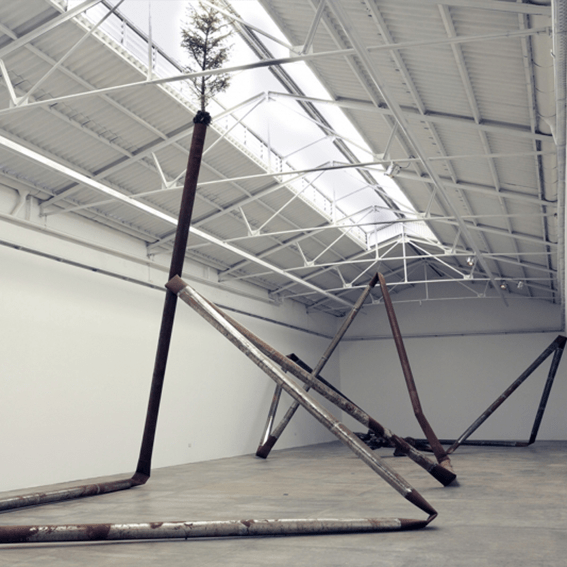 Matías Duville, Precipitar una especie, 2014