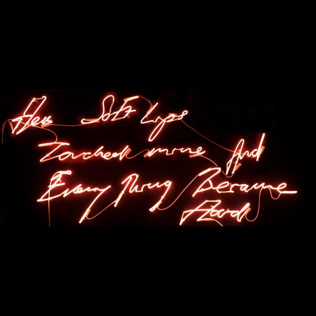 Tracey Emin, Her soft lips touched mine and everything became hard , 2008