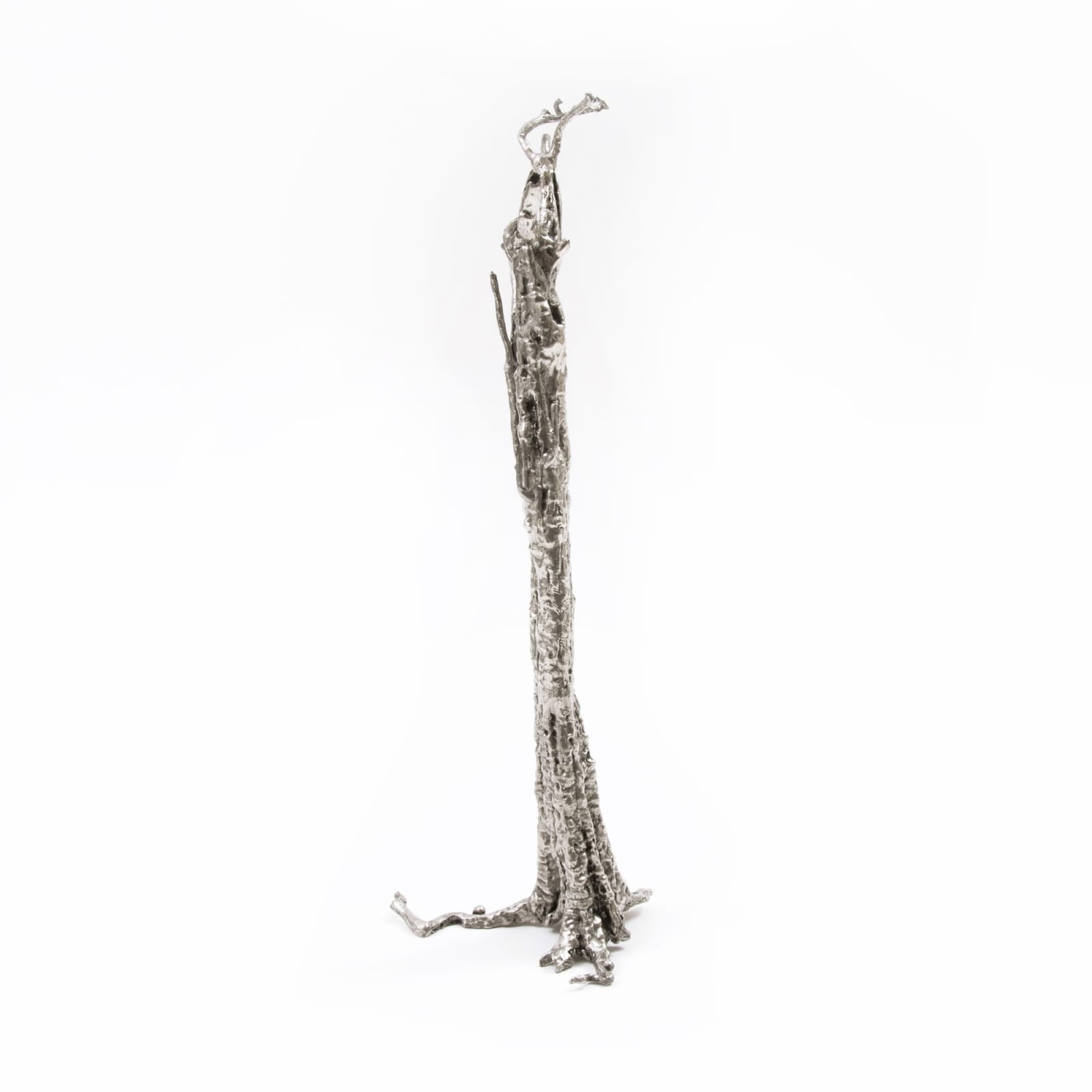 Ai Weiwei, Pequi Tree, 2021