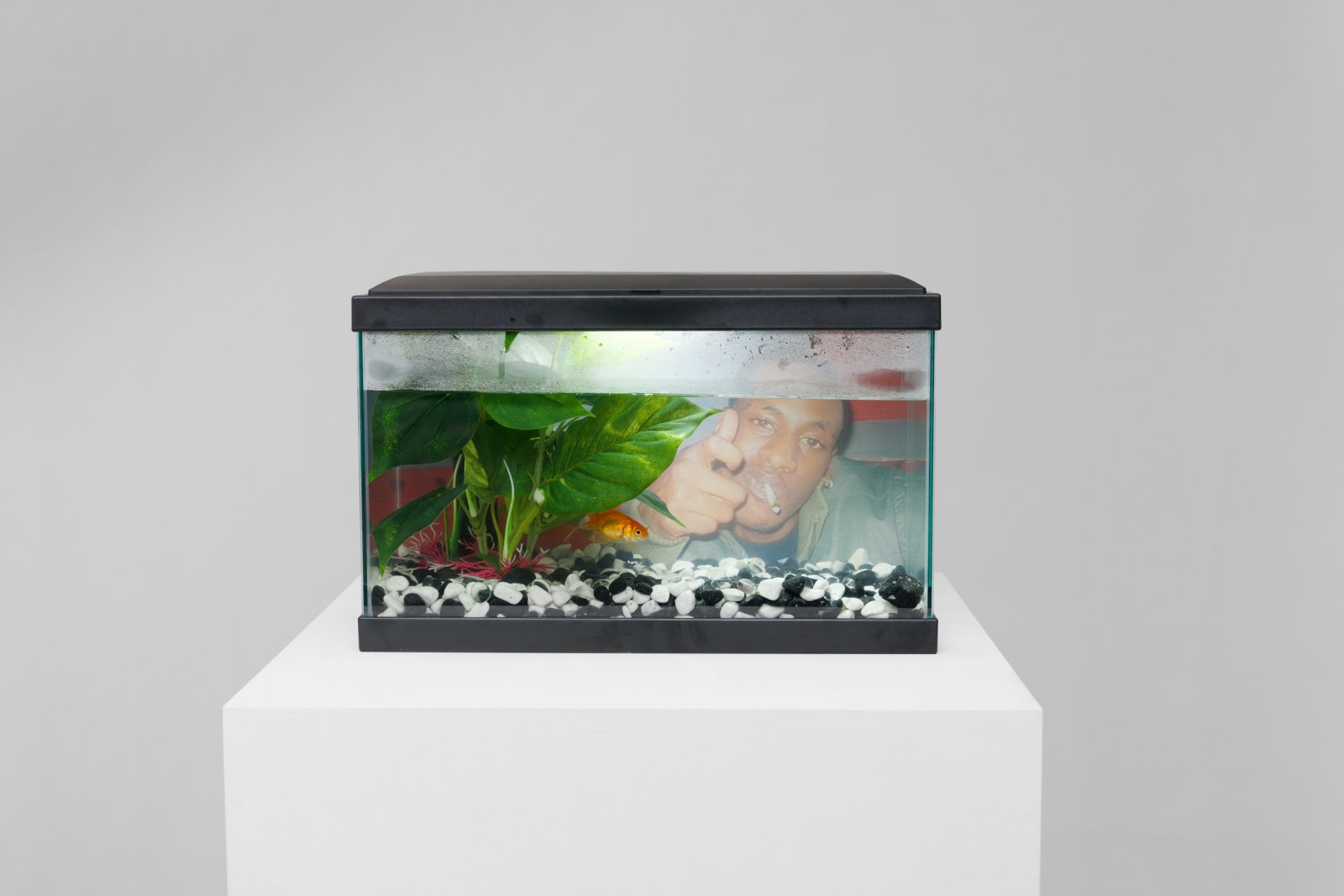 Emmanuel Shogbolu (SCATTSMAN), Crying under water, 2024