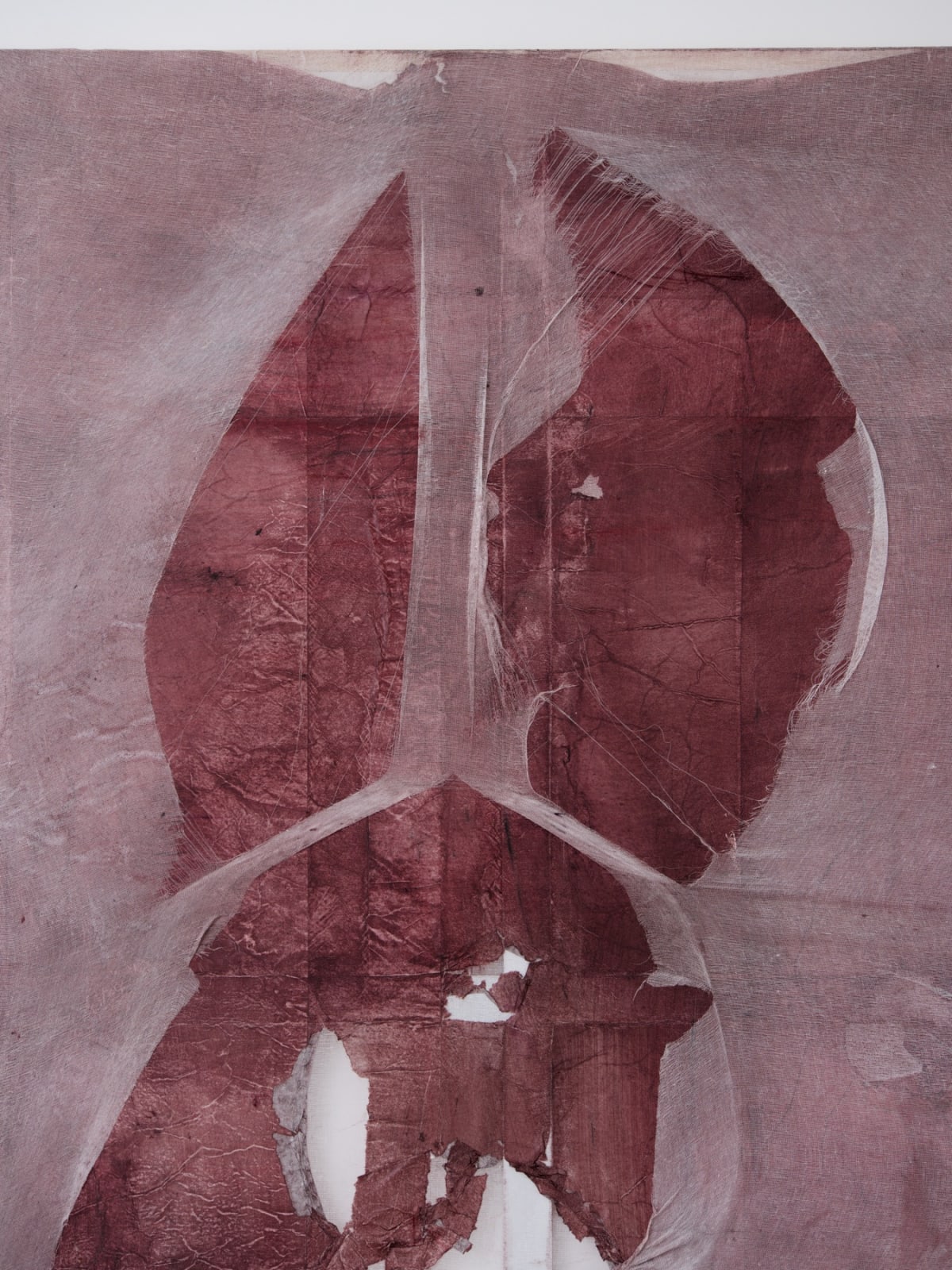 Minh Lan Tran, In the Beginning was the Cry, 2025