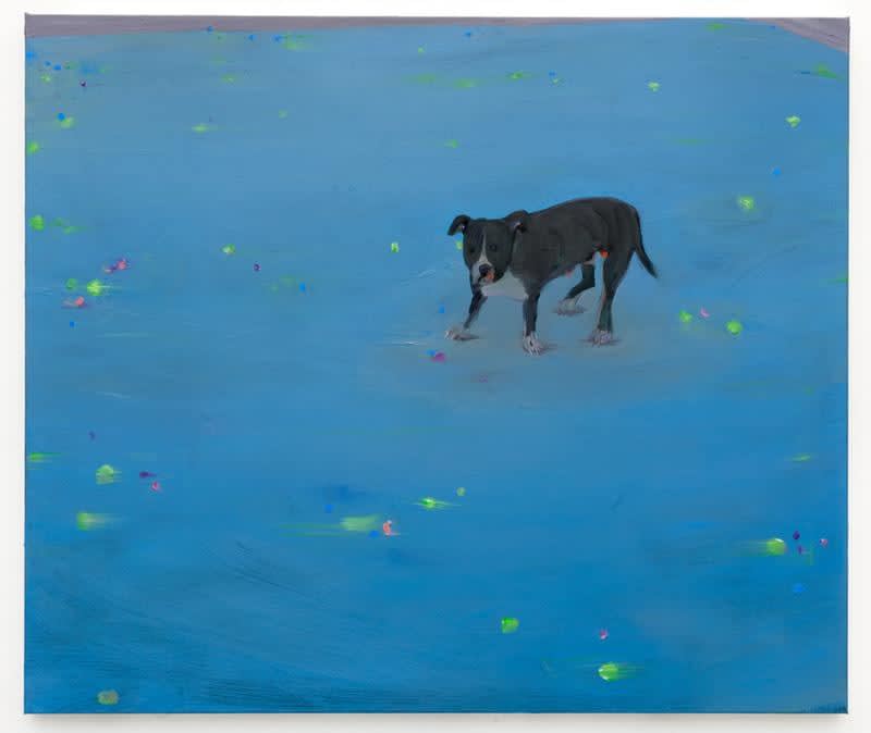 Xinyi Cheng, Summer Snowfllakes , 2017